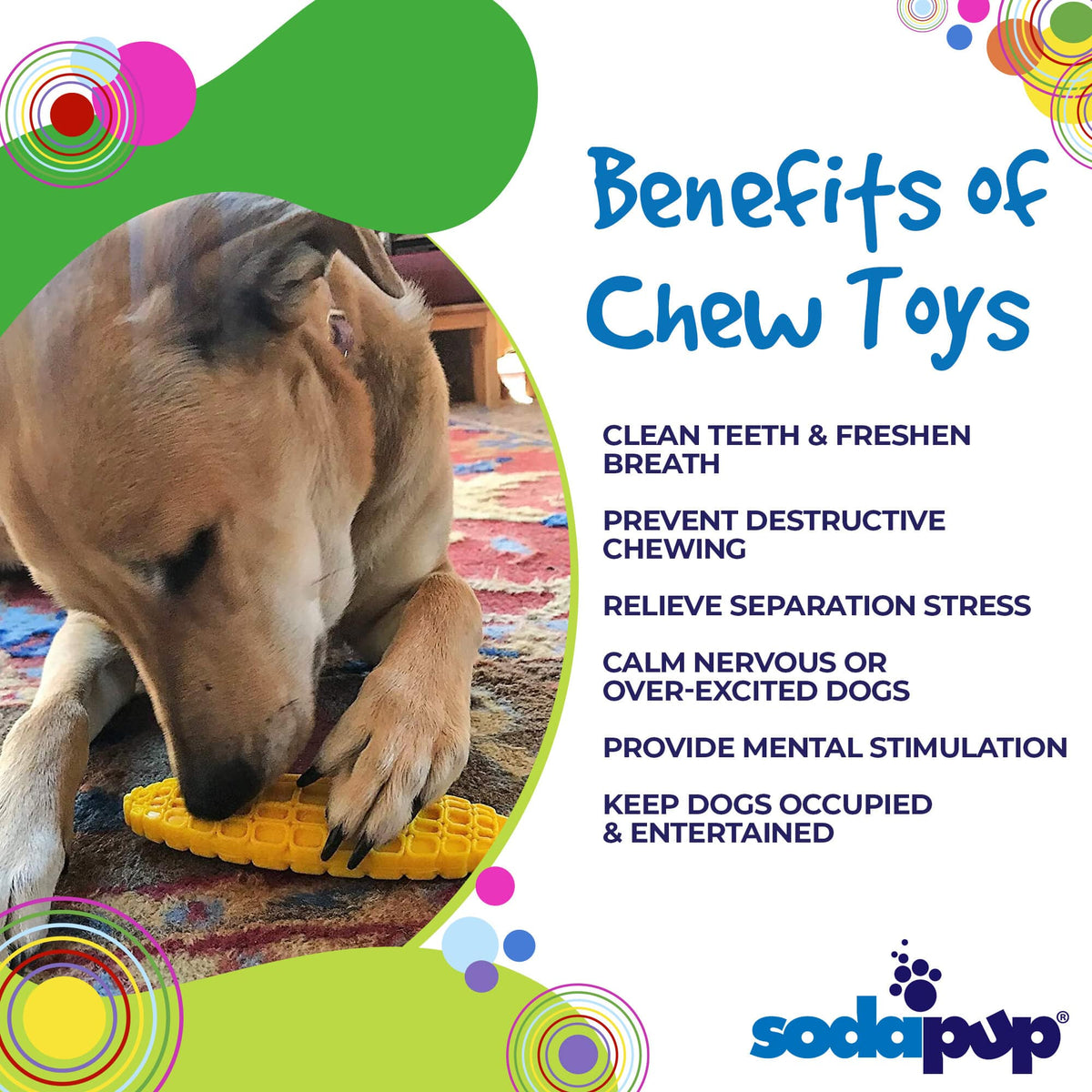 SodaPup Corn on the Cob Ultra Durable Nylon Dog Chew Toy