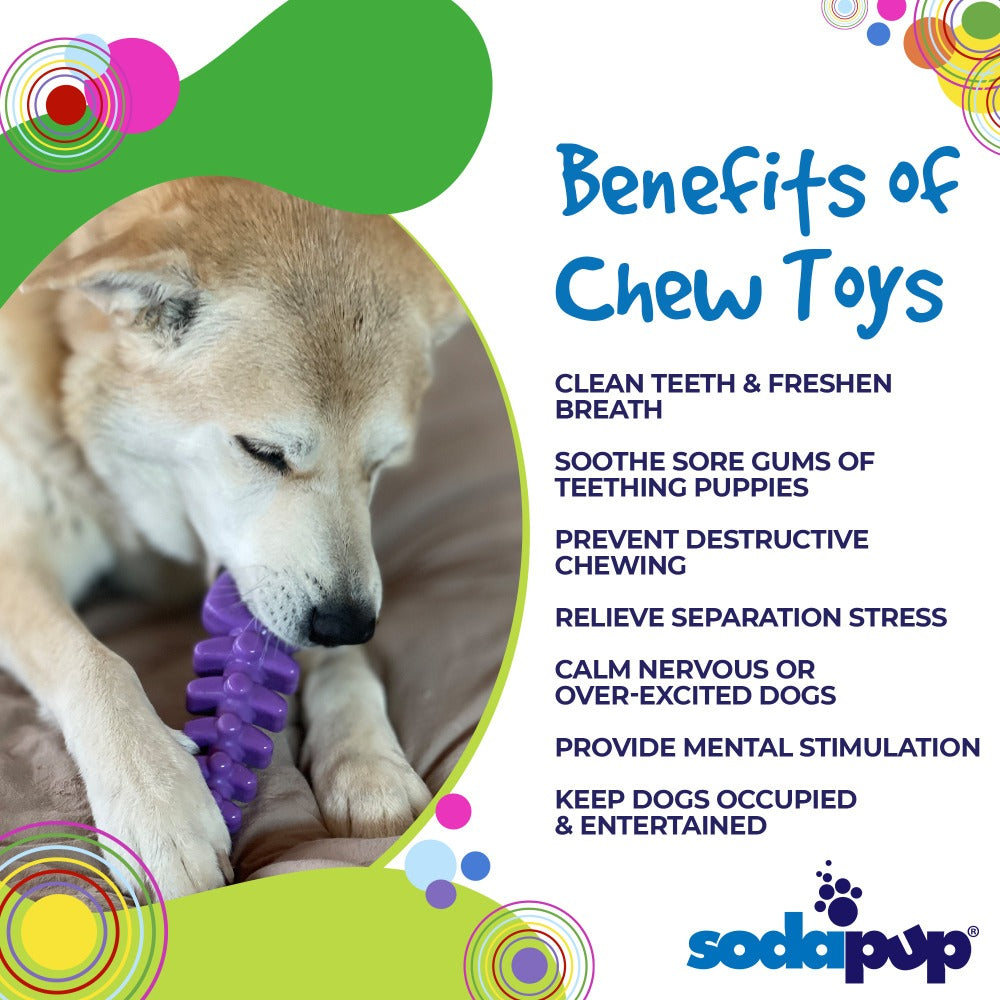 SodaPup Fish Bone Ultra Durable Nylon Chew Toy