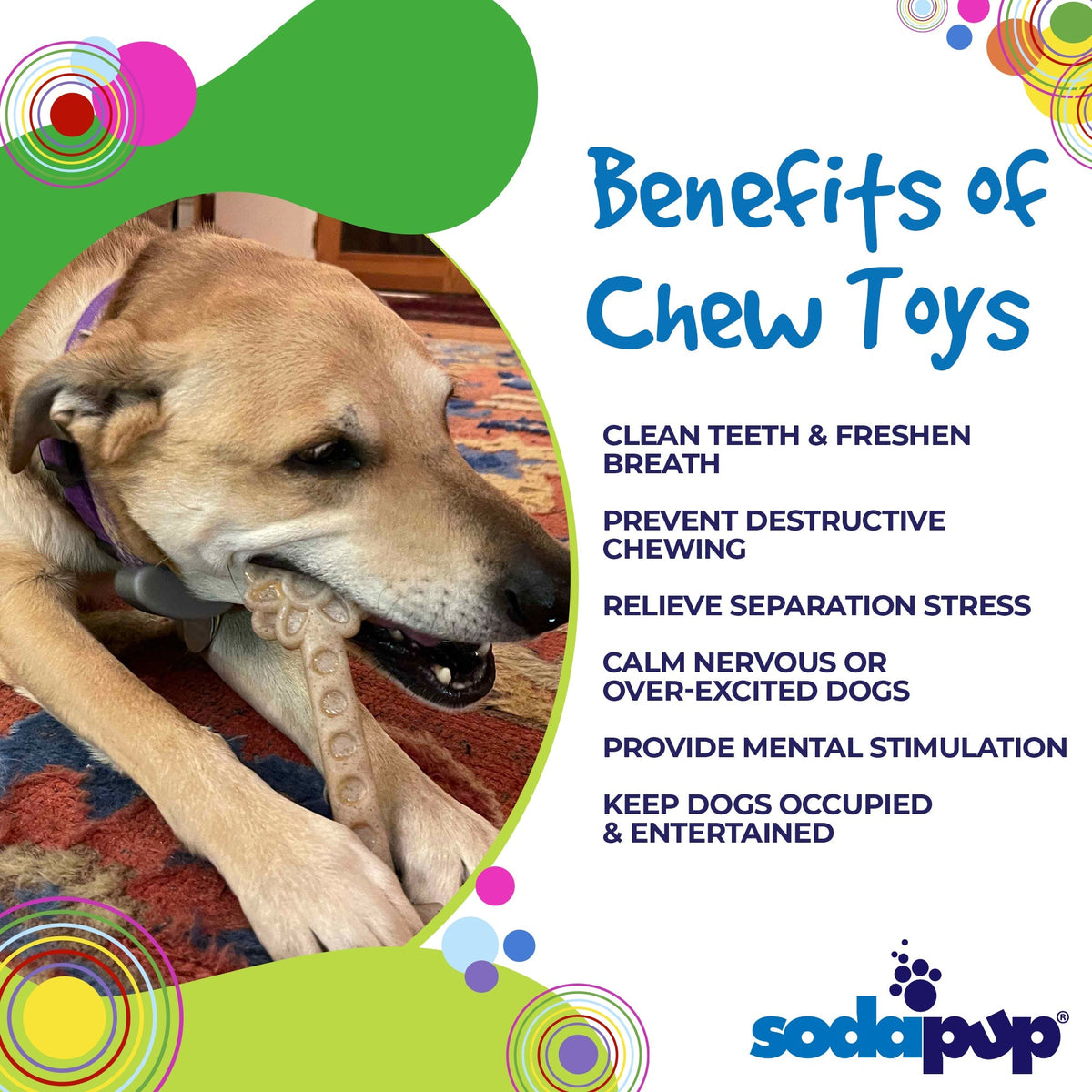 SodaPup Flower Tower Durable Nylon Chew and Enrichment Toy
