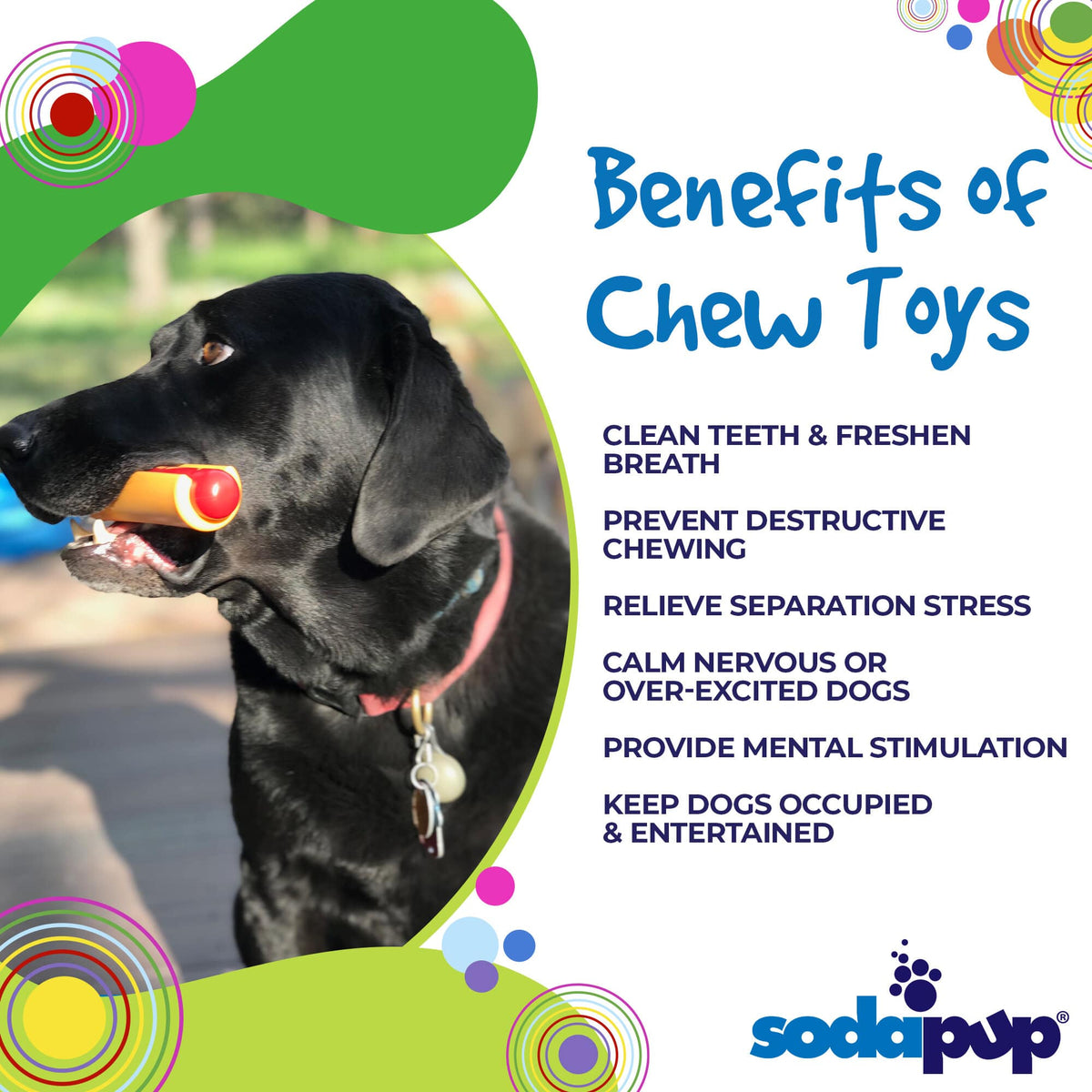 SodaPup Hot Dog Ultra Durable Nylon Dog Chew Toy