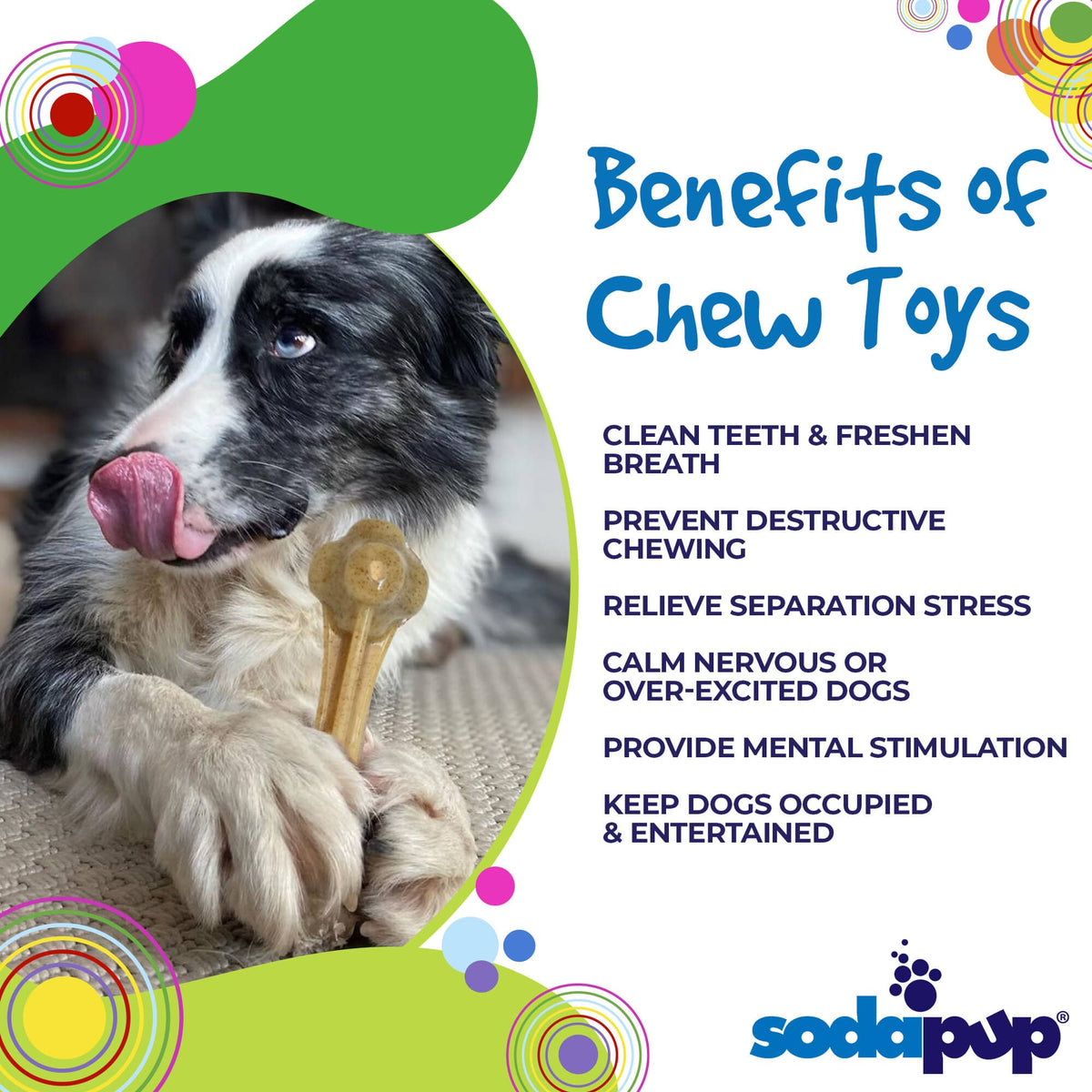 SodaPup Knuckle Bone Ultra Durable Nylon Dog Chew Toy