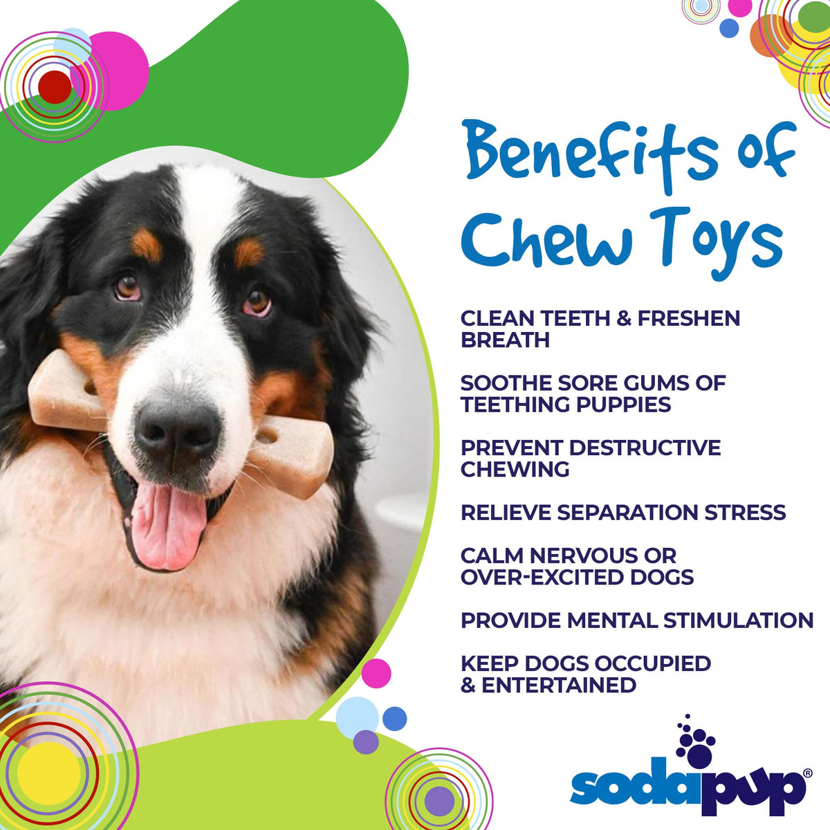 SodaPup MOD Bone Ultra Durable Nylon Dog Chew Toy