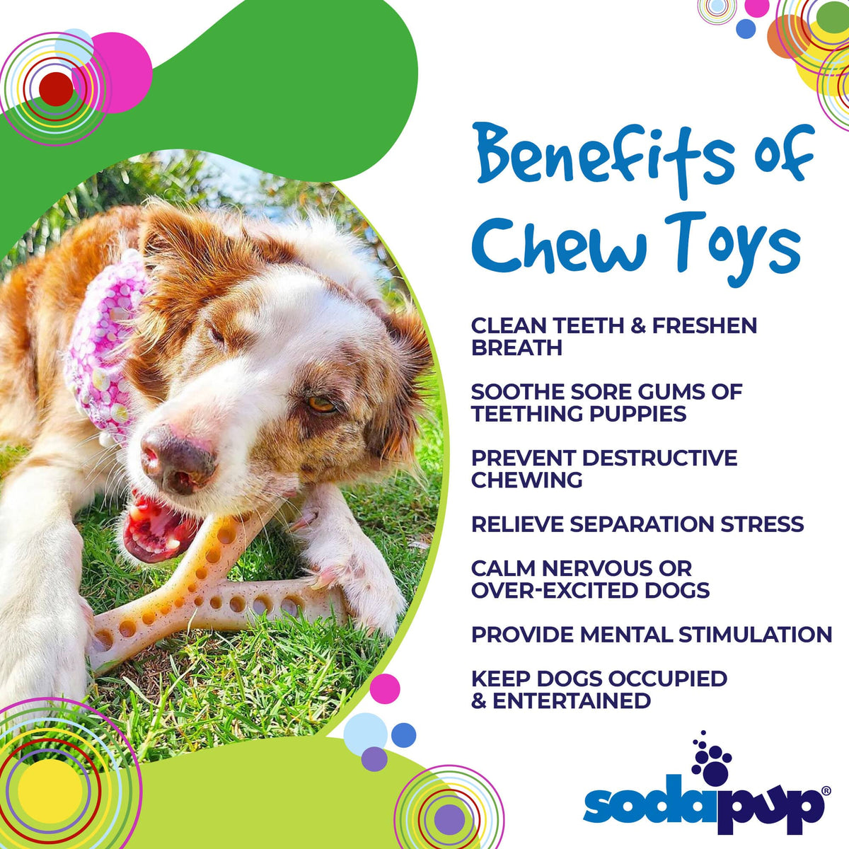 SodaPup MOD Wishbone Ultra Durable Nylon Dog Chew Toy