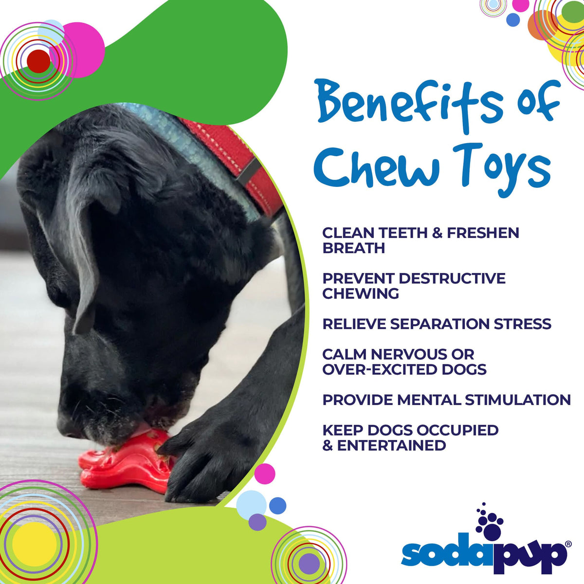 SodaPup Starfish Ultra Durable Nylon for Aggressive Chewers Dog Chew Toy