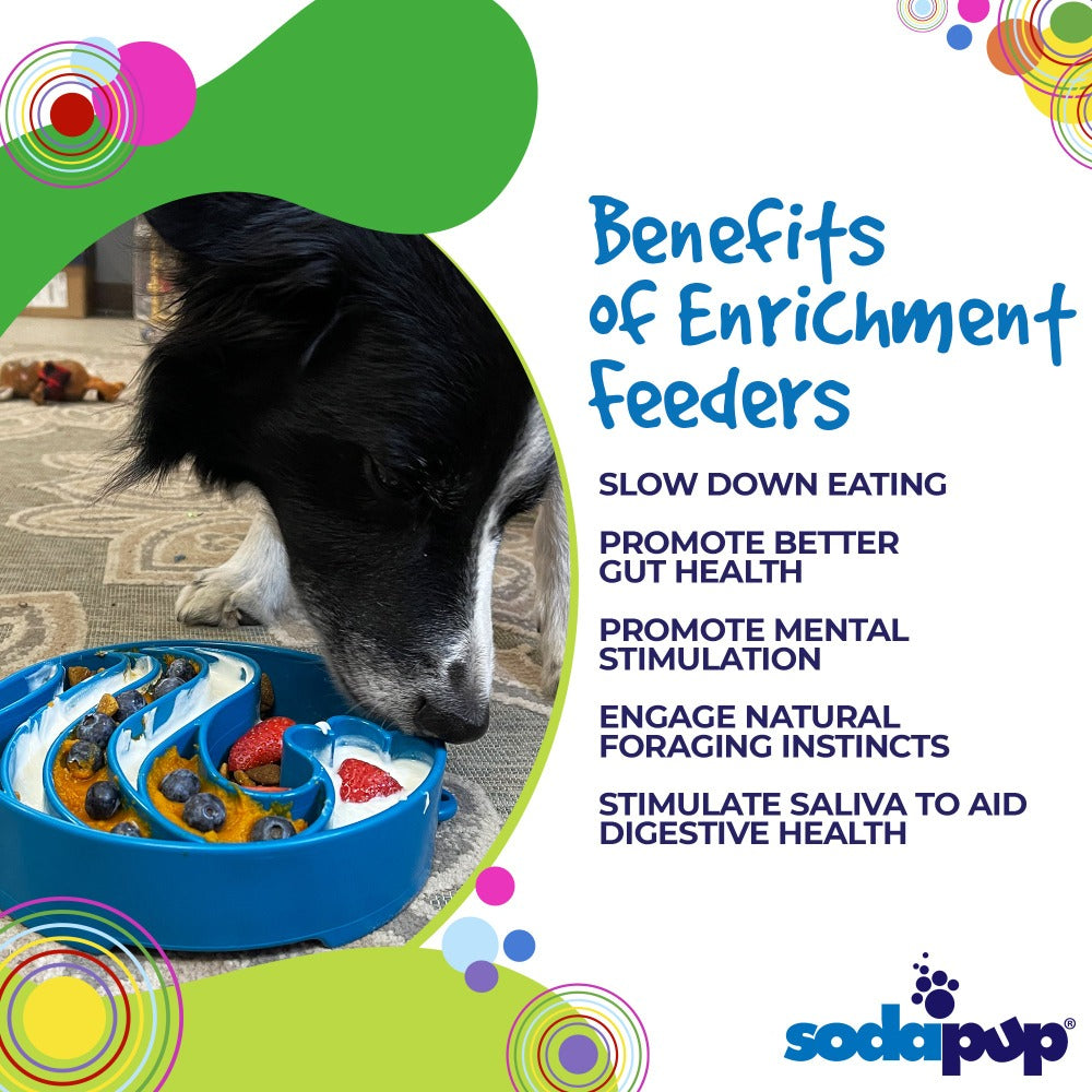 SodaPup Wave Design eBowl Enrichment Slow Feeder Bowl for Dogs