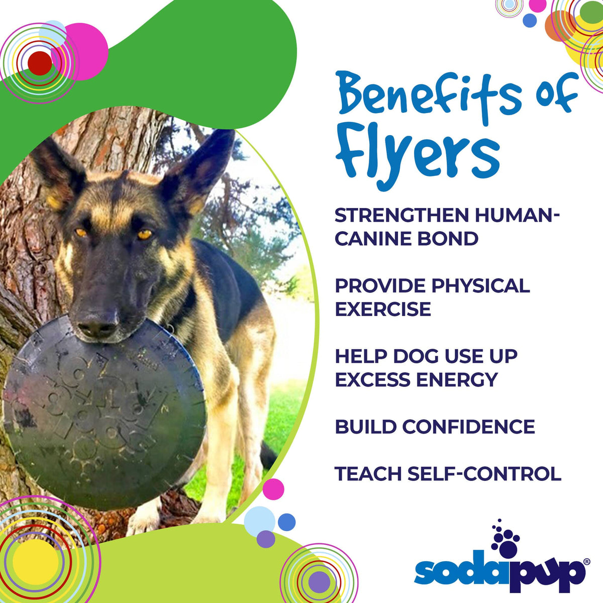 SodaPup Magnum Bottle Top Flyer Ultra Durable Rubber Retrieving Frisbee Dog Toy