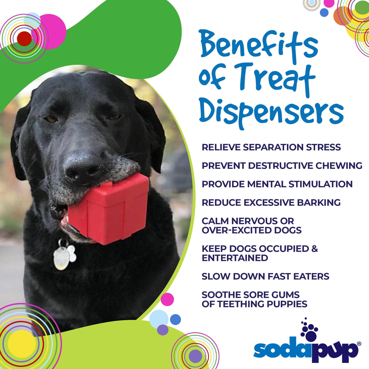 SodaPup Gift Box Durable Rubber Chew Toy & Treat Dispenser