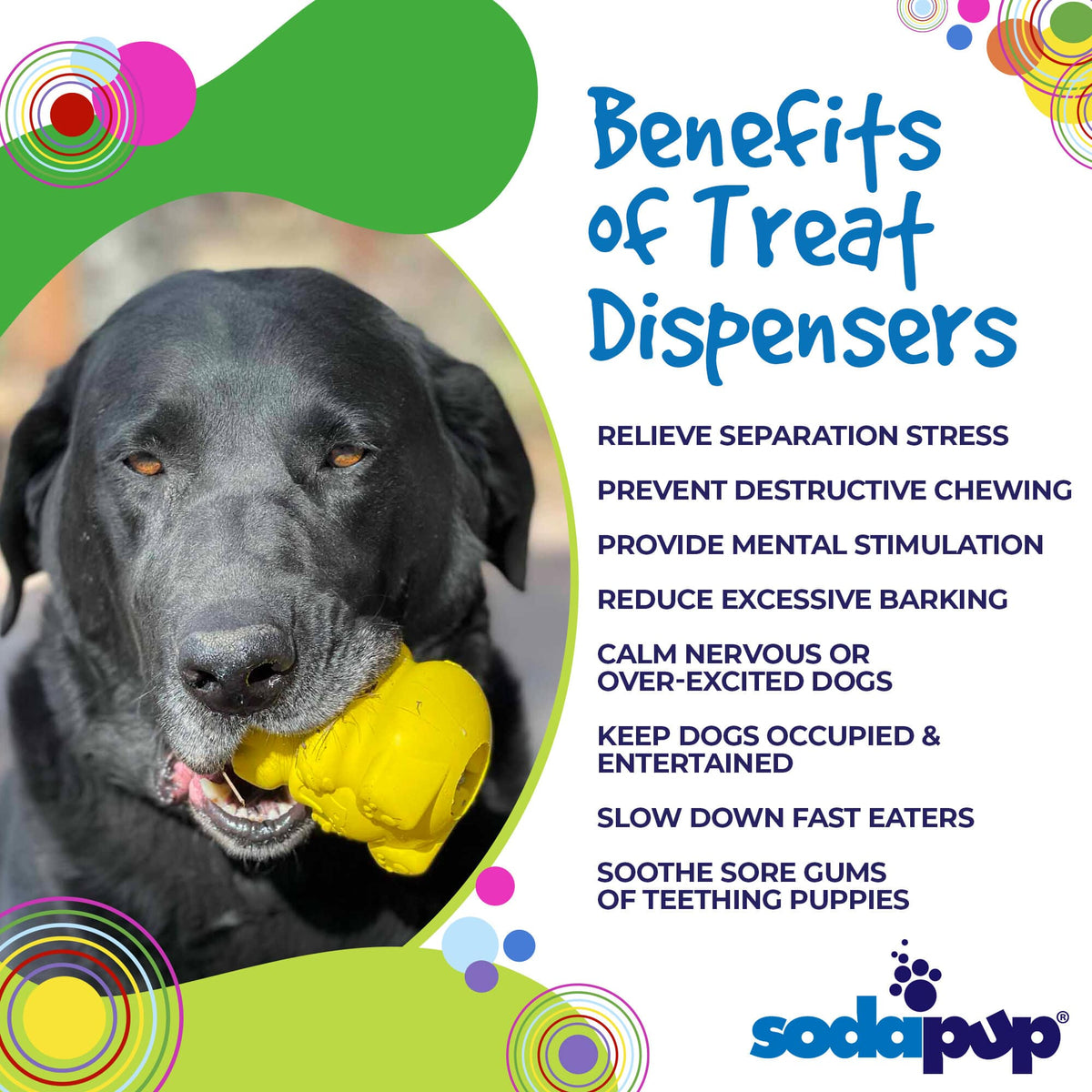 SodaPup Honey Bear Durable Rubber Treat Dispenser