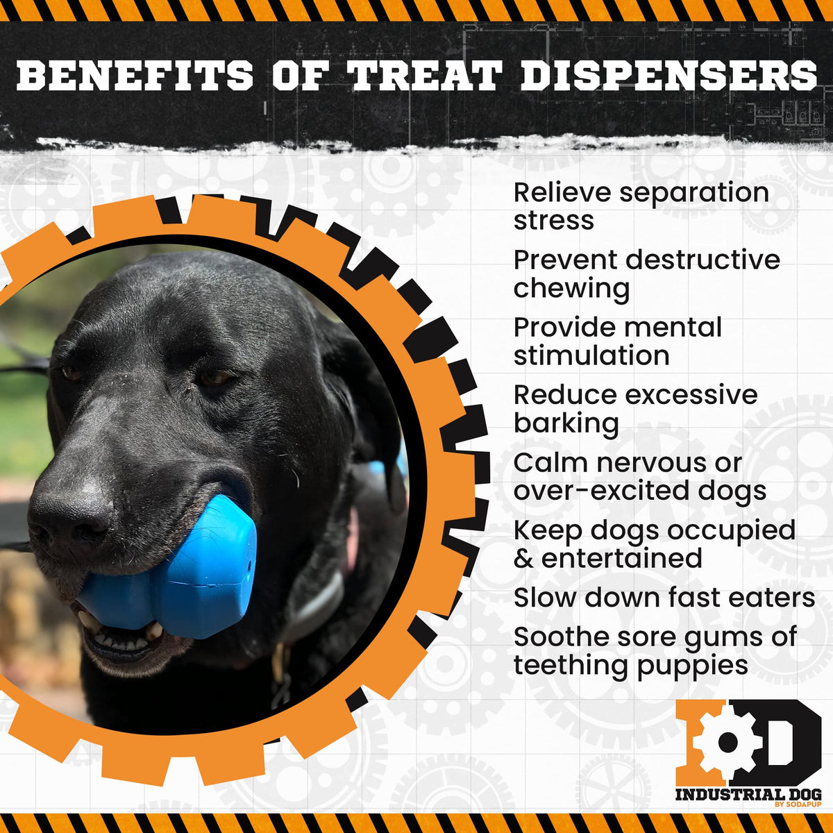 SodaPup ID Double Trouble Durable Rubber Chew Toy and Treat Dispenser