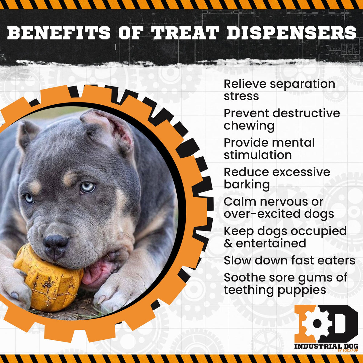 SodaPup ID Gear Treat Pocket Durable Rubber Treat Holder and Chew Toy