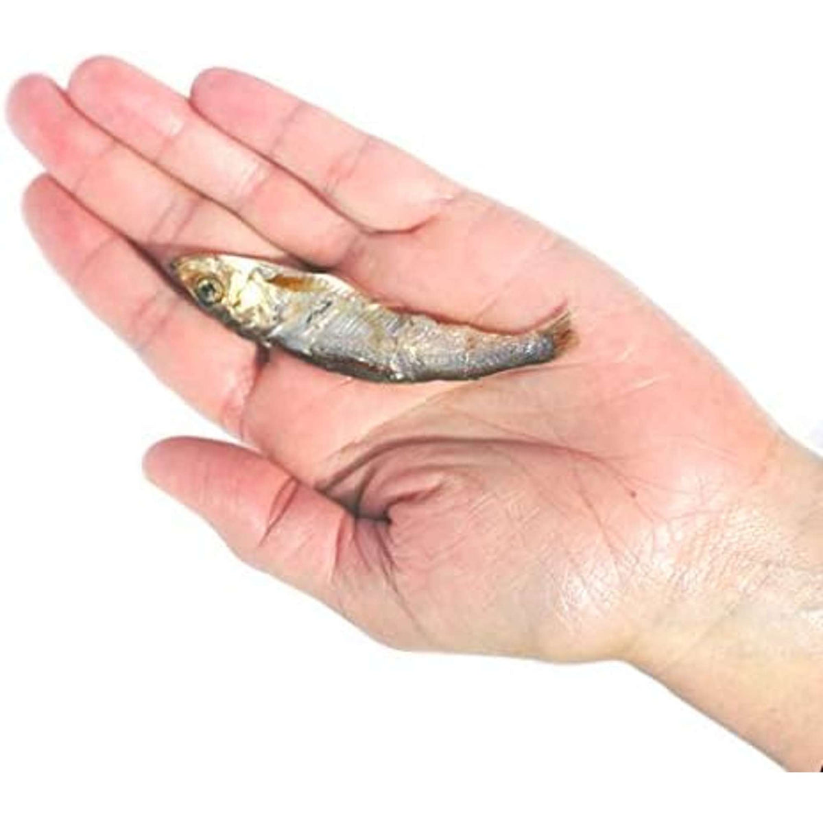 Plato Pet Treats Wild Caught Baltic Herring for Dogs