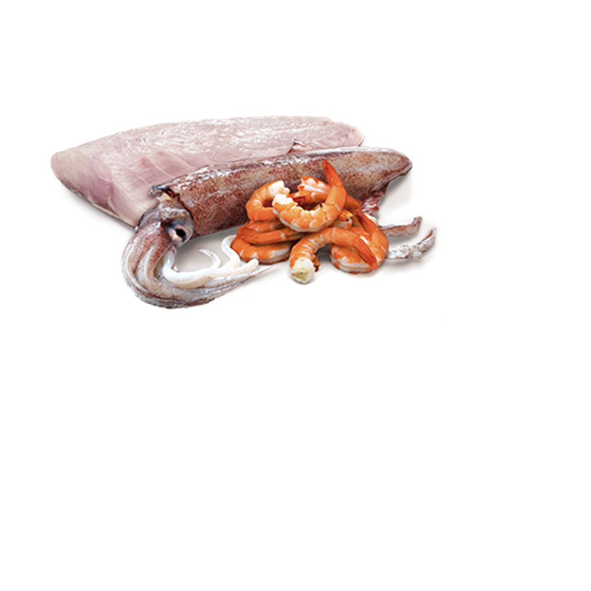 Farmina N&D Ocean Grain Free Sea Bass, Squid & Shrimp Canned Cat Food