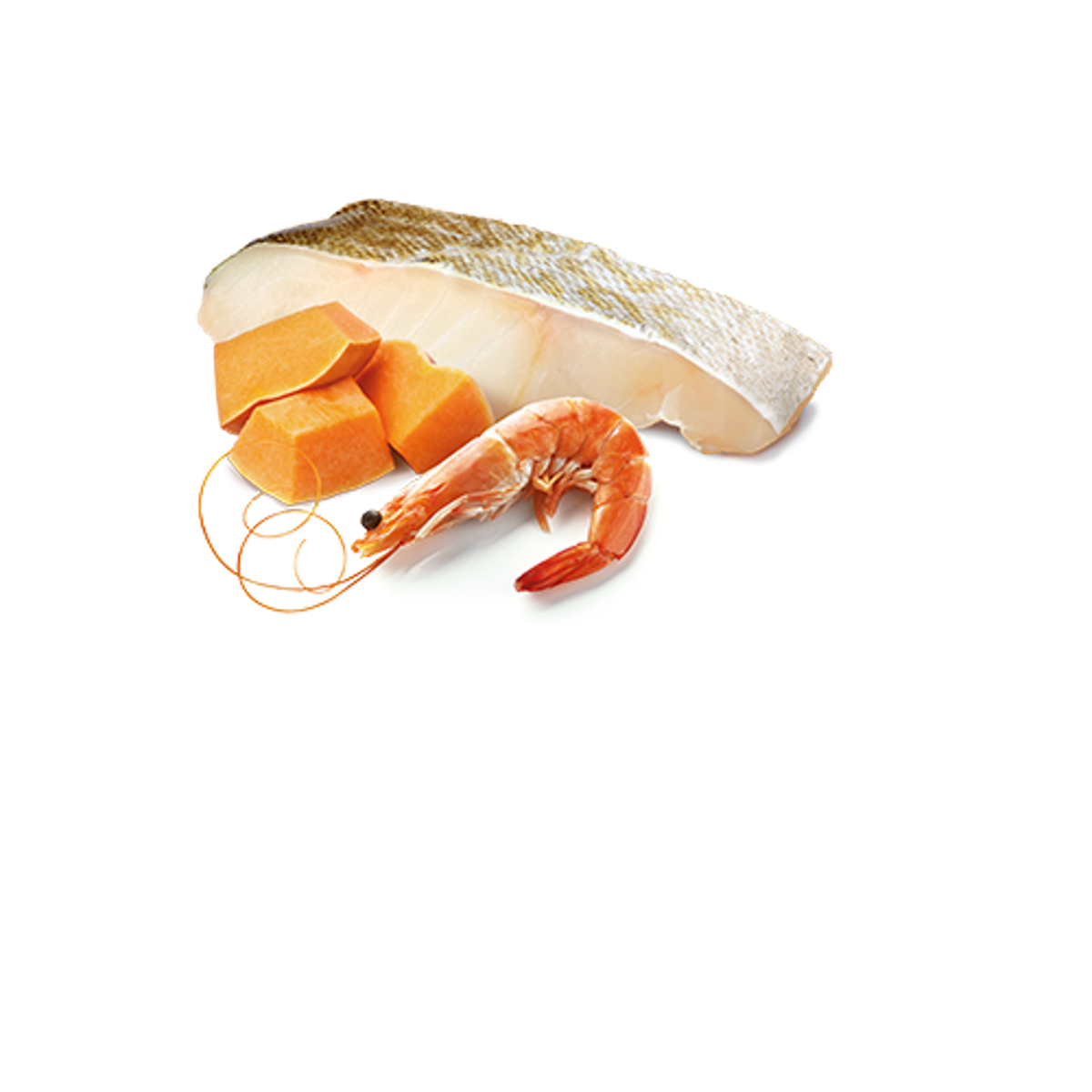 Farmina N&D Ocean Cod, Shrimp & Pumpkin Canned Cat Food