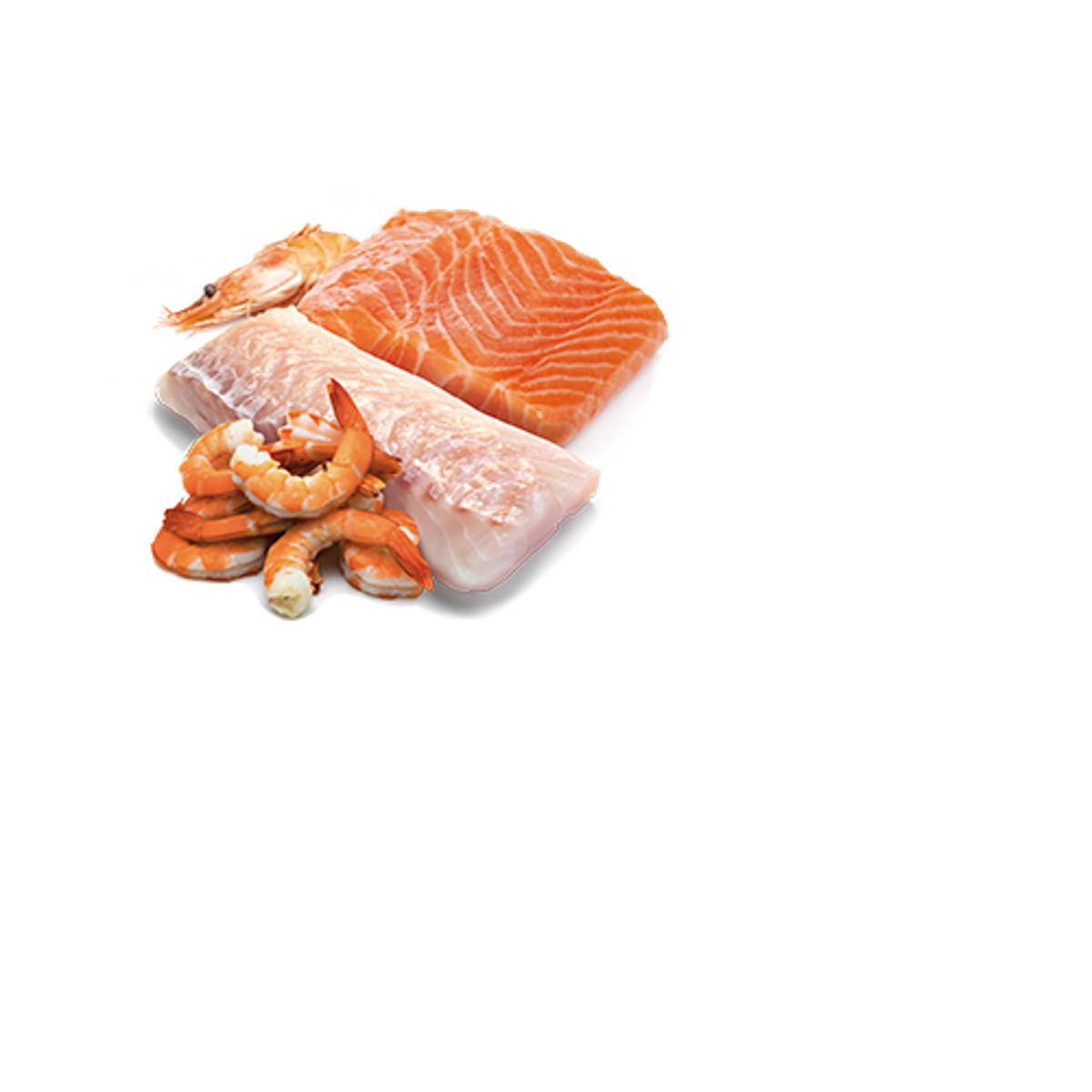 Farmina N&D Ocean Grain Free Salmon, Cod & Shrimp Canned Cat Food