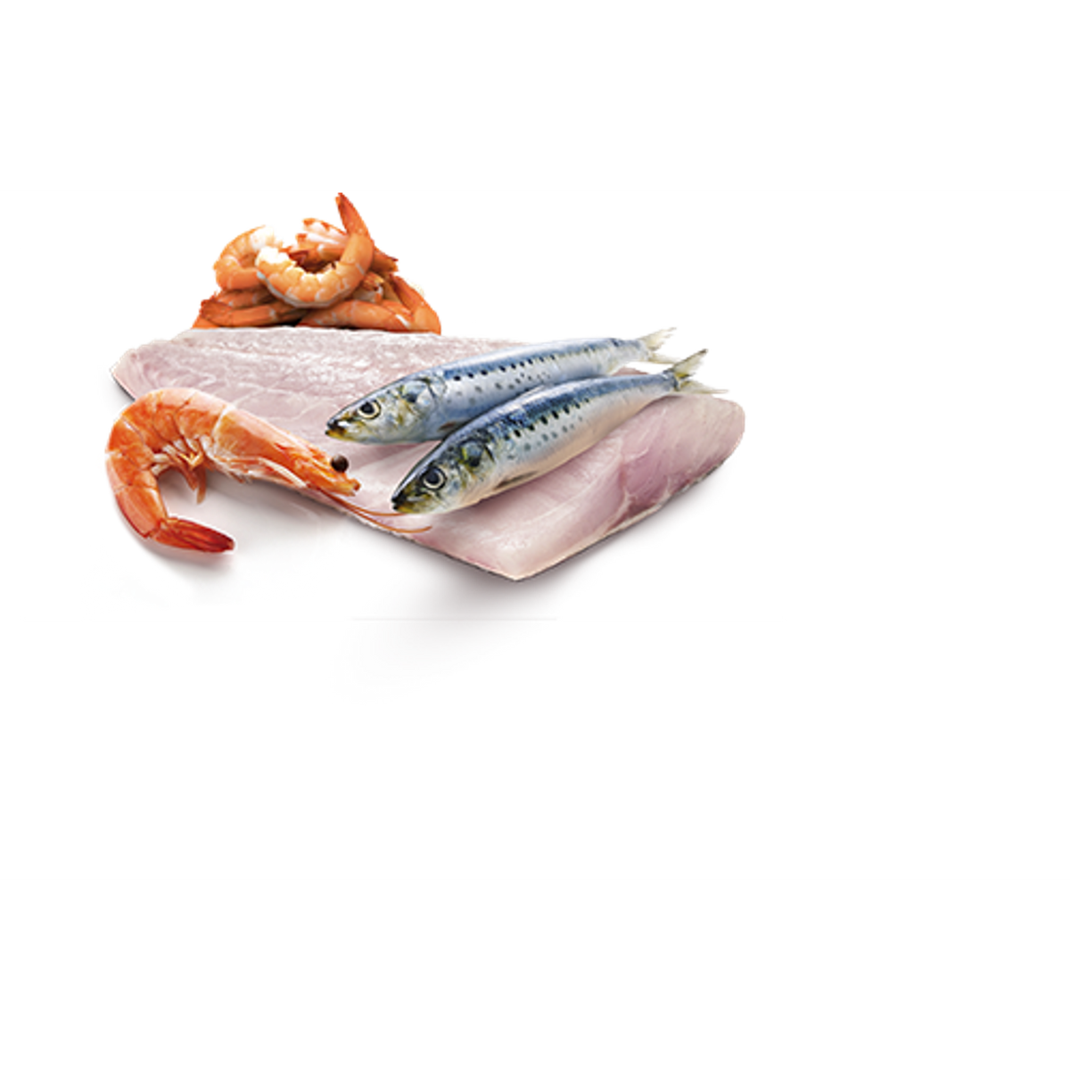 Farmina N&D Ocean Grain Free Sea Bass, Sardine & Shrimp Canned Cat Food