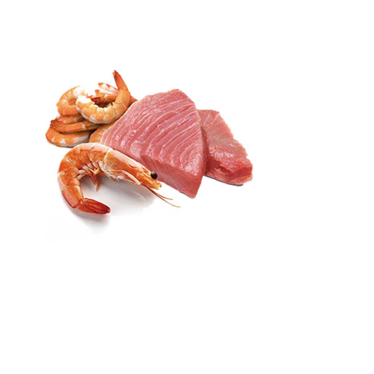 Farmina N&D Ocean Grain Free Tuna & Shrimp Canned Cat Food