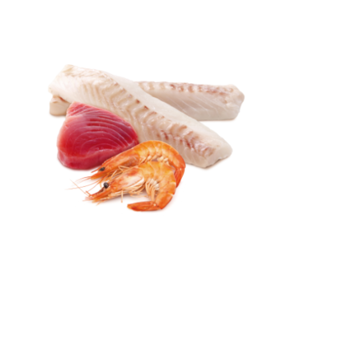 Farmina N&D Ocean Grain Free Tuna, Cod & Shrimp Canned Cat Food