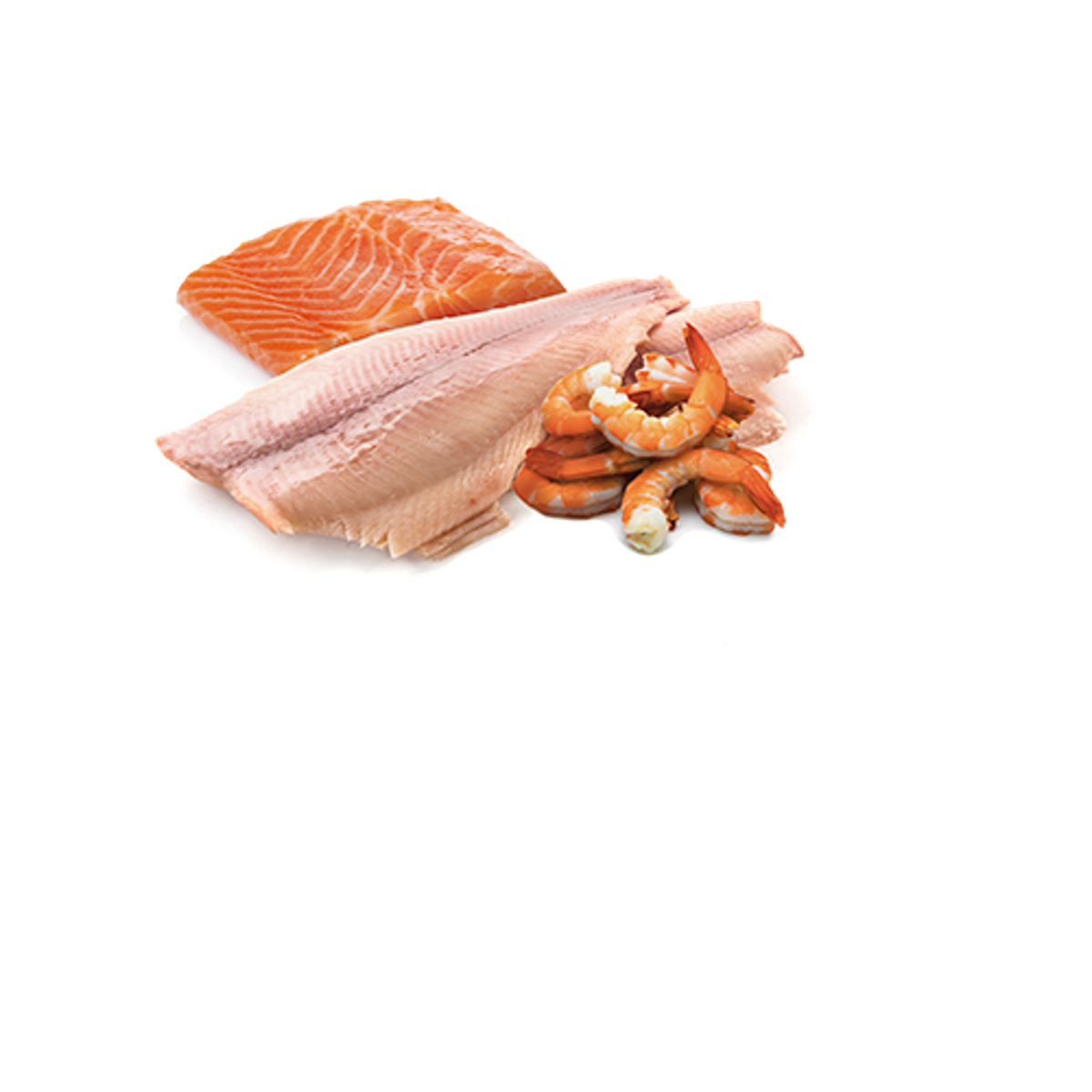 Farmina N&D Ocean Grain Free Trout, Salmon & Shrimp Canned Cat Food