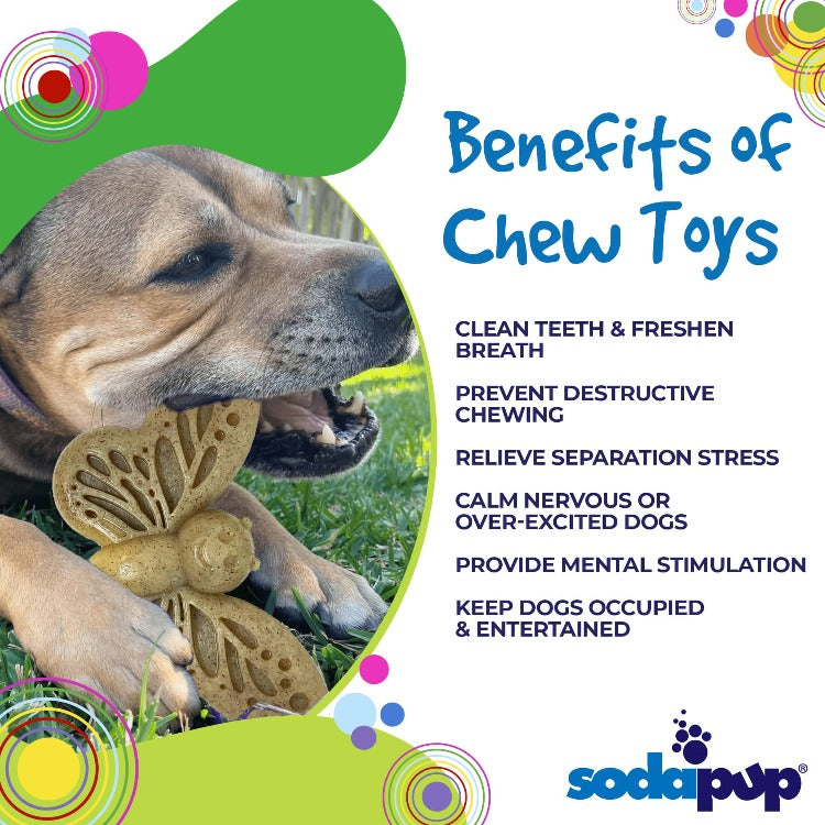 SodaPup Butterfly Durable Nylon Chew and Enrichment Toy
