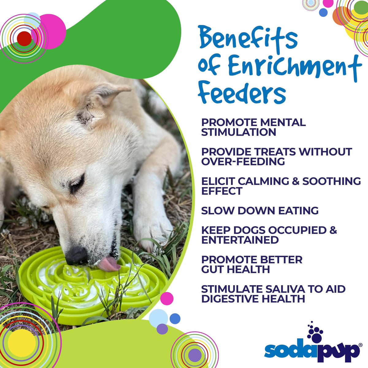 SodaPup Water Frog Design eTray Enrichment Tray for Dogs