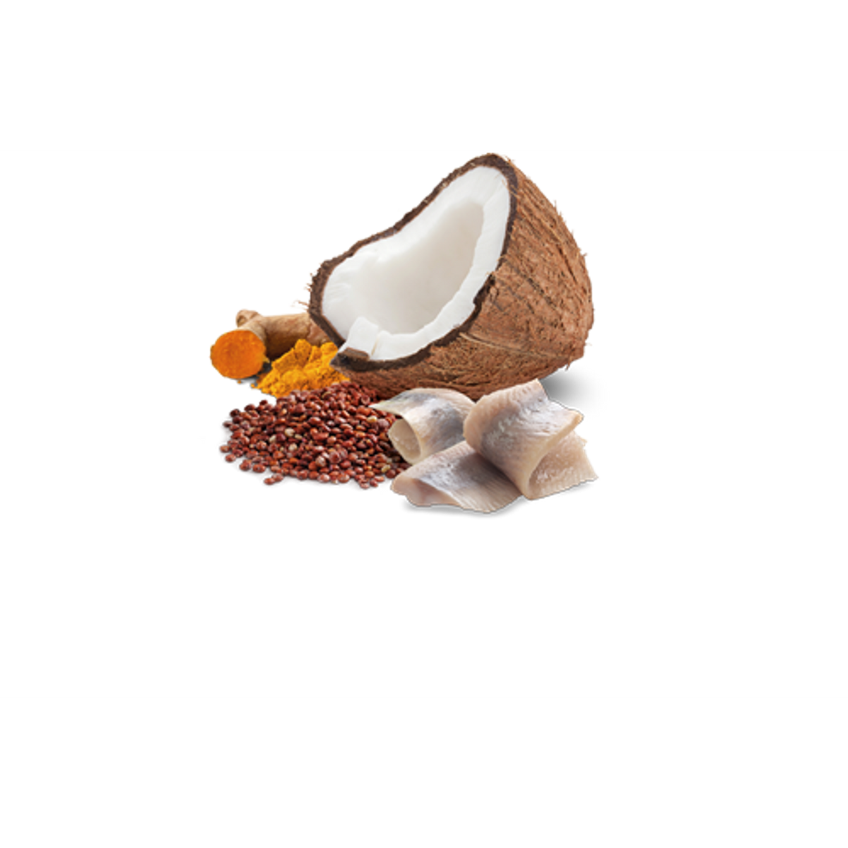 Farmina N&D Quinoa Grain Free Skin & Coat Herring & Coconut Canned Cat Food