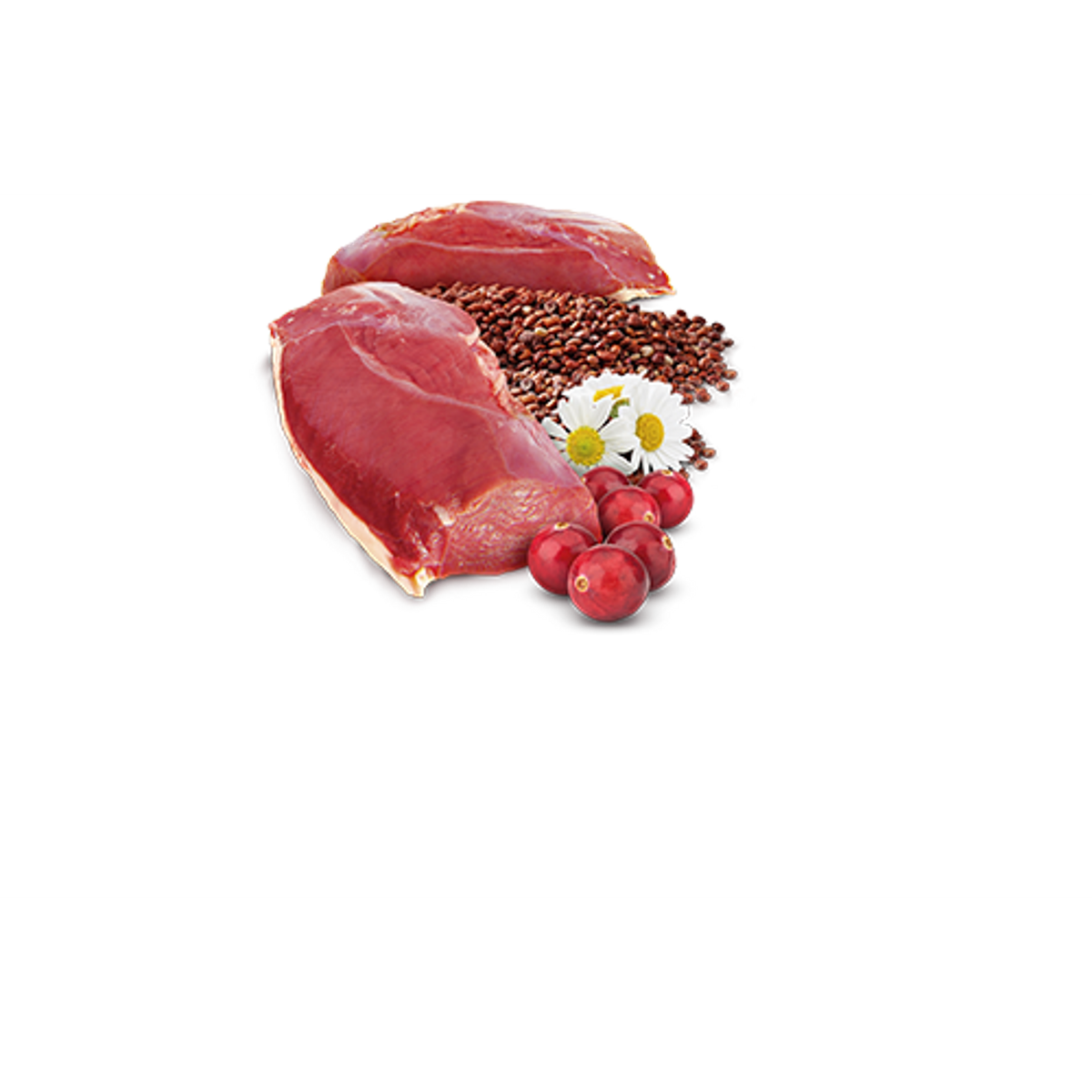 Farmina N&D Quinoa Grain Free Urinary Canned Cat Food