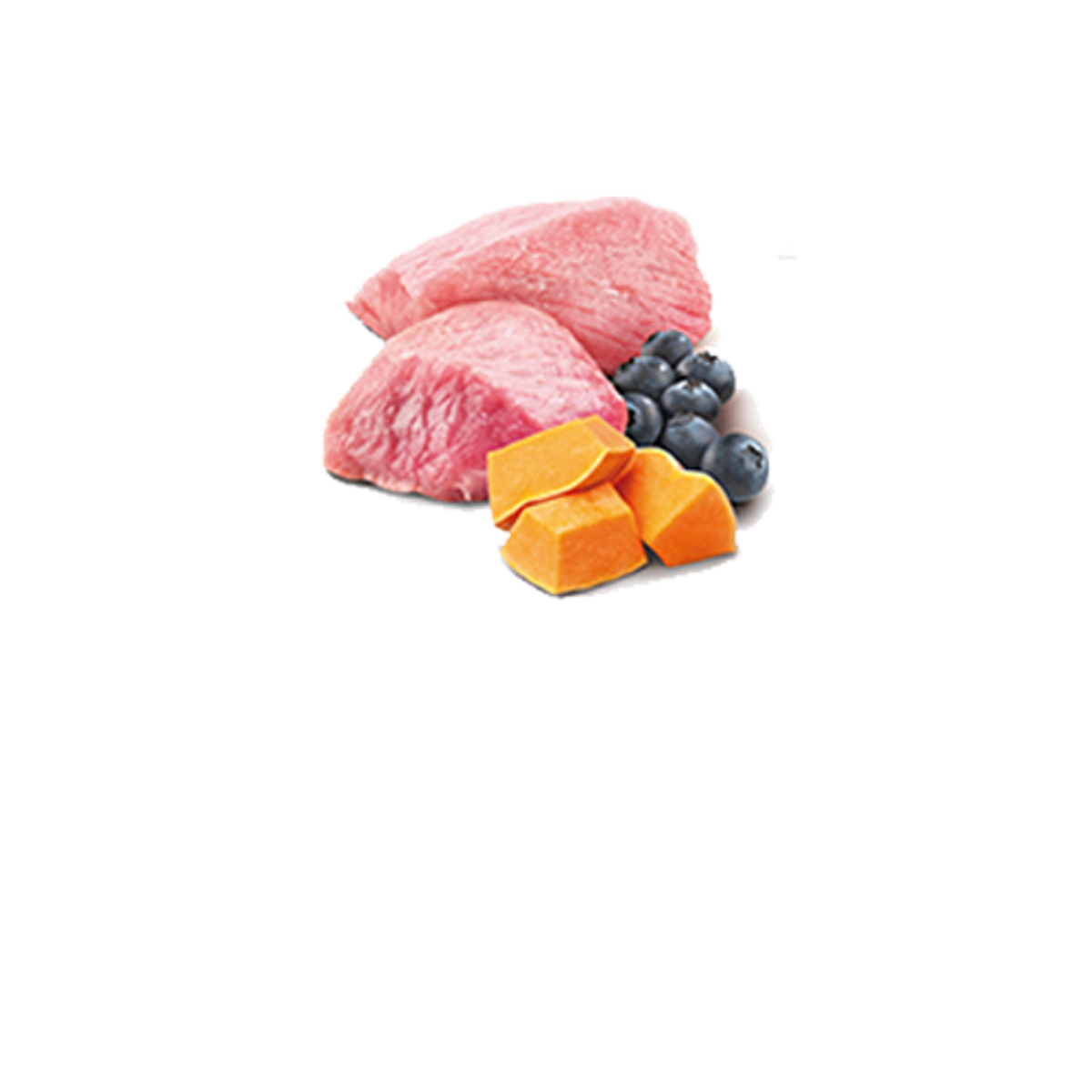 Farmina N&D Prime Grain Free Lamb, Pumpkin & Blueberry Canned Cat Food