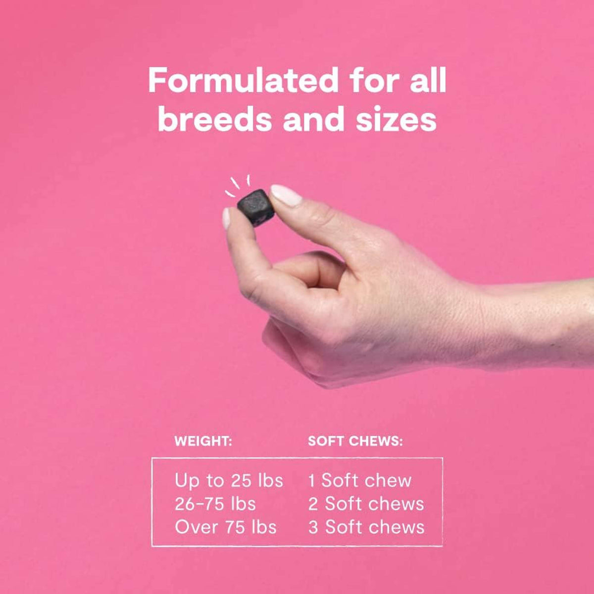 Open Farm Skin &amp; Coat Dog Supplement Chews