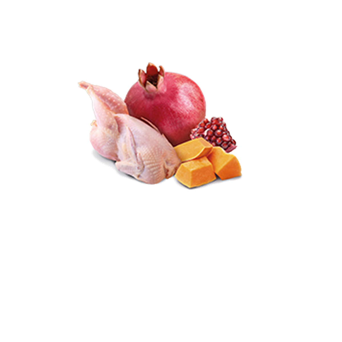 Farmina N&D Pumpkin Quail & Pumpkin Canned Dog Food