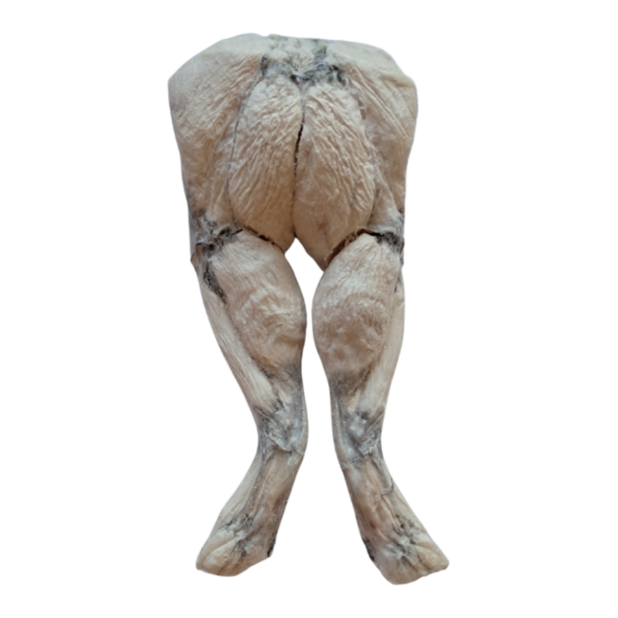 The Bones &amp; Co Freeze-Dried Raw Frog Legs Dog &amp; Cat Chews