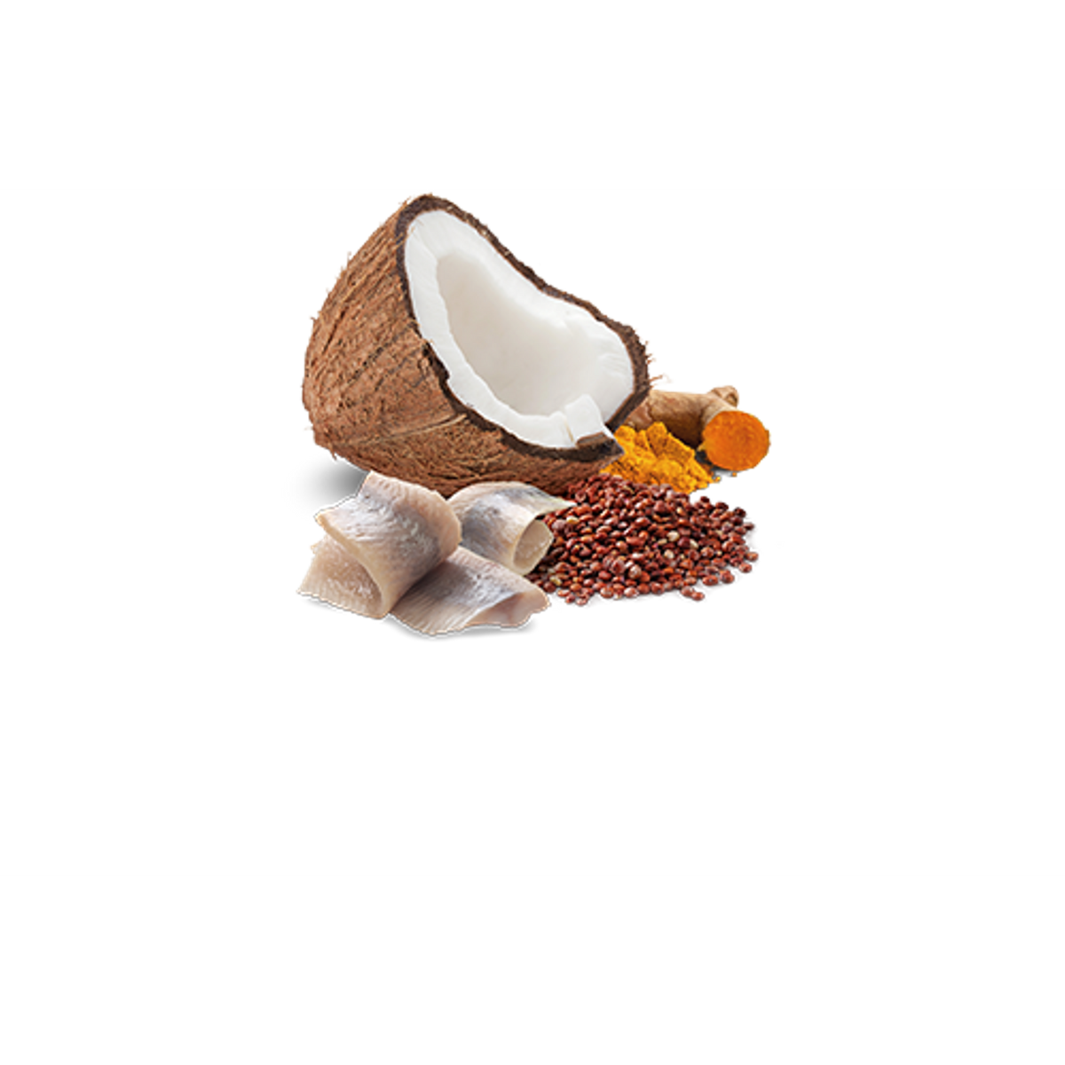 Farmina N&D Quinoa Skin & Coat Herring & Coconut Canned Dog Food