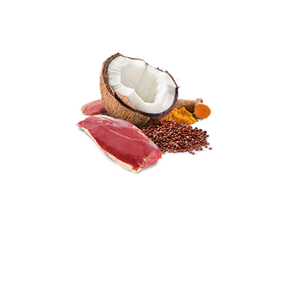 Farmina N&D Quinoa Skin & Coat Duck & Coconut Canned Dog Food