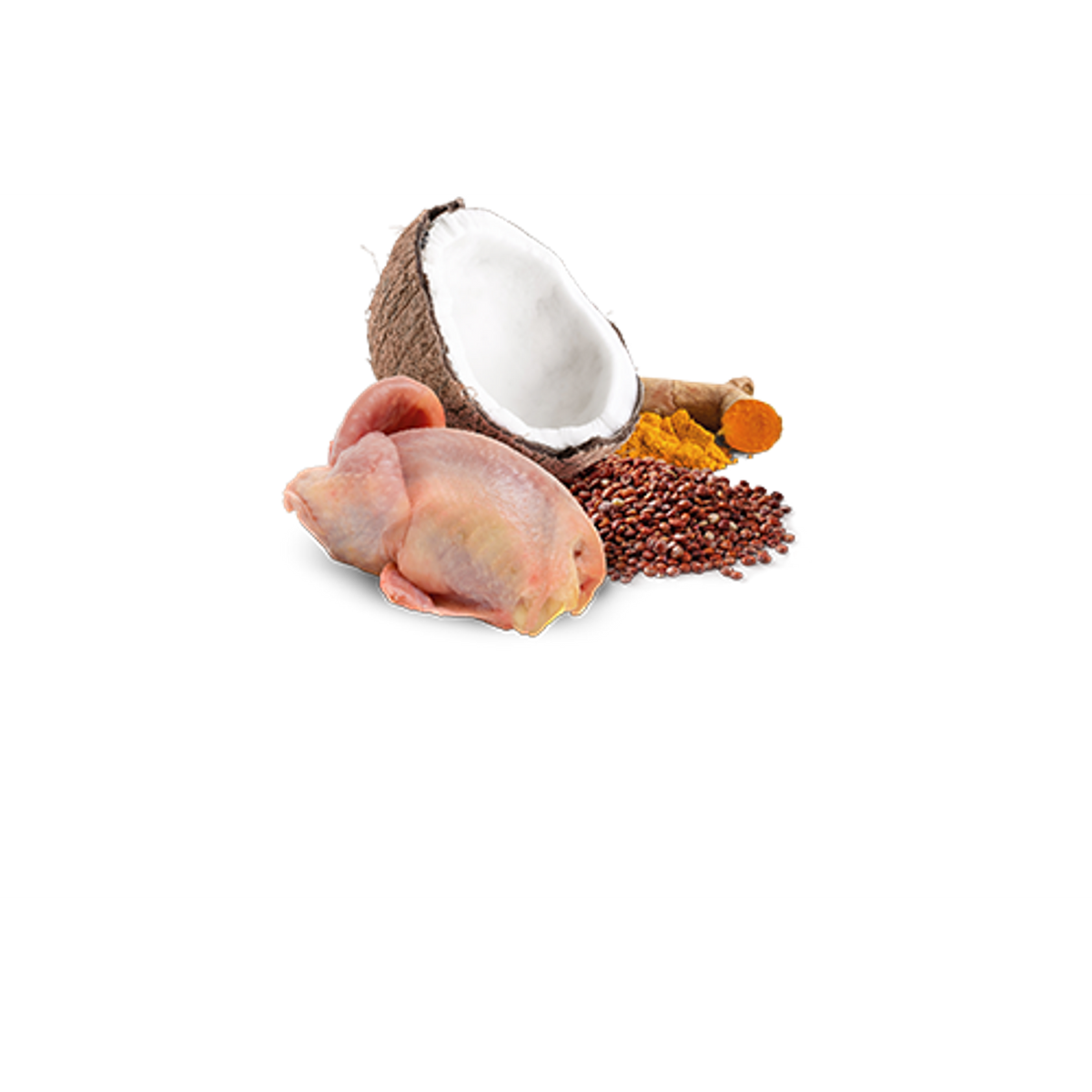 Farmina N&D Quinoa Skin & Coat Quail & Coconut Canned Dog Food