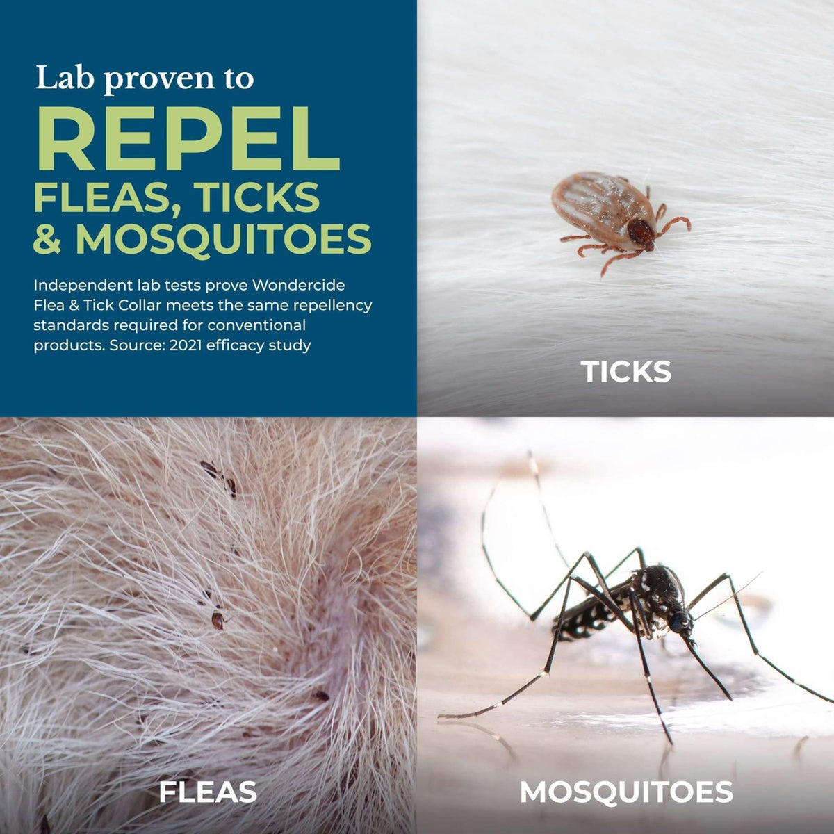 Wondercide Flea & Tick Peppermint Scent Cat Collar