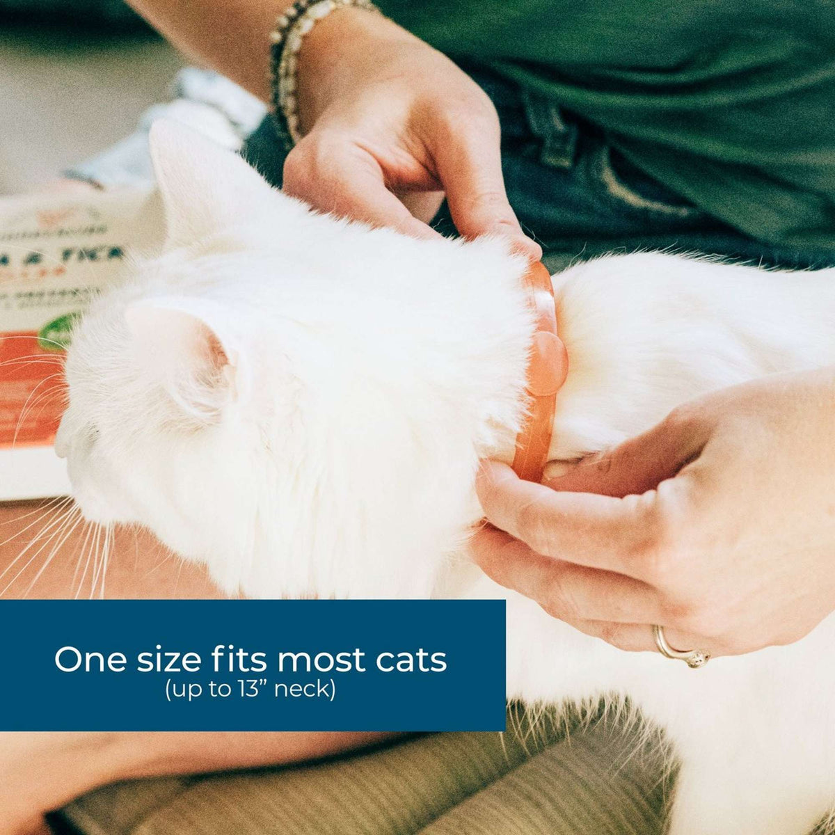 Wondercide Flea & Tick Peppermint Scent Cat Collar