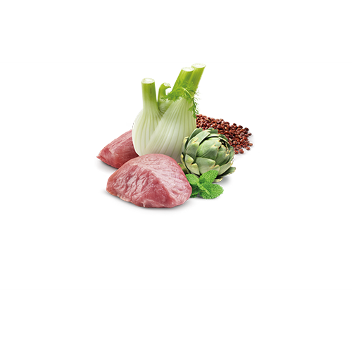 Farmina N&D Quinoa Lamb Digestion Canned Dog Food