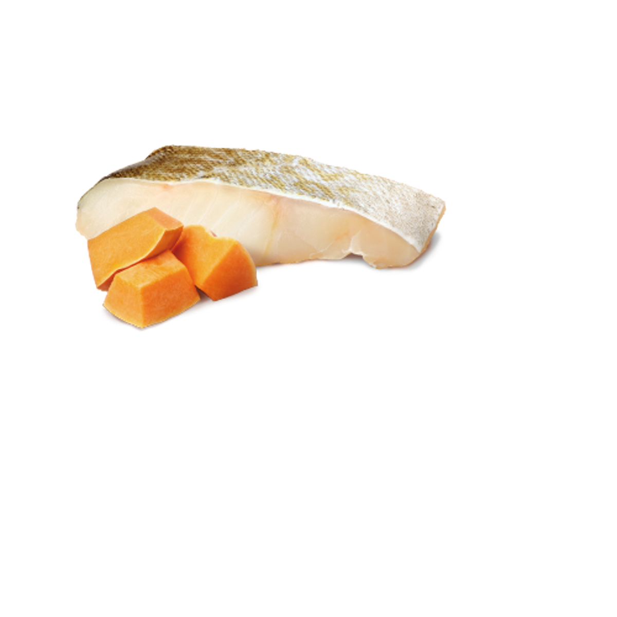 Farmina N&D Ocean Cod & Pumpkin Canned Dog Food