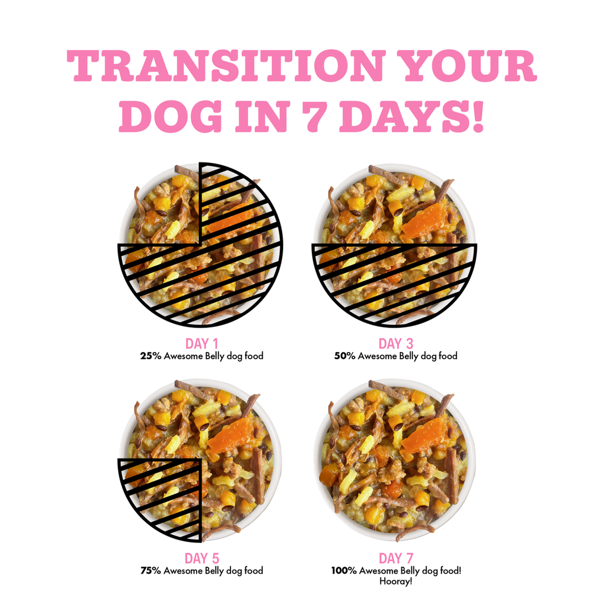 Weruva Awesome Belly Beef, White Rice &amp; Pumpkin Recipe with Turmeric &amp; Ginger Canned Dog Food