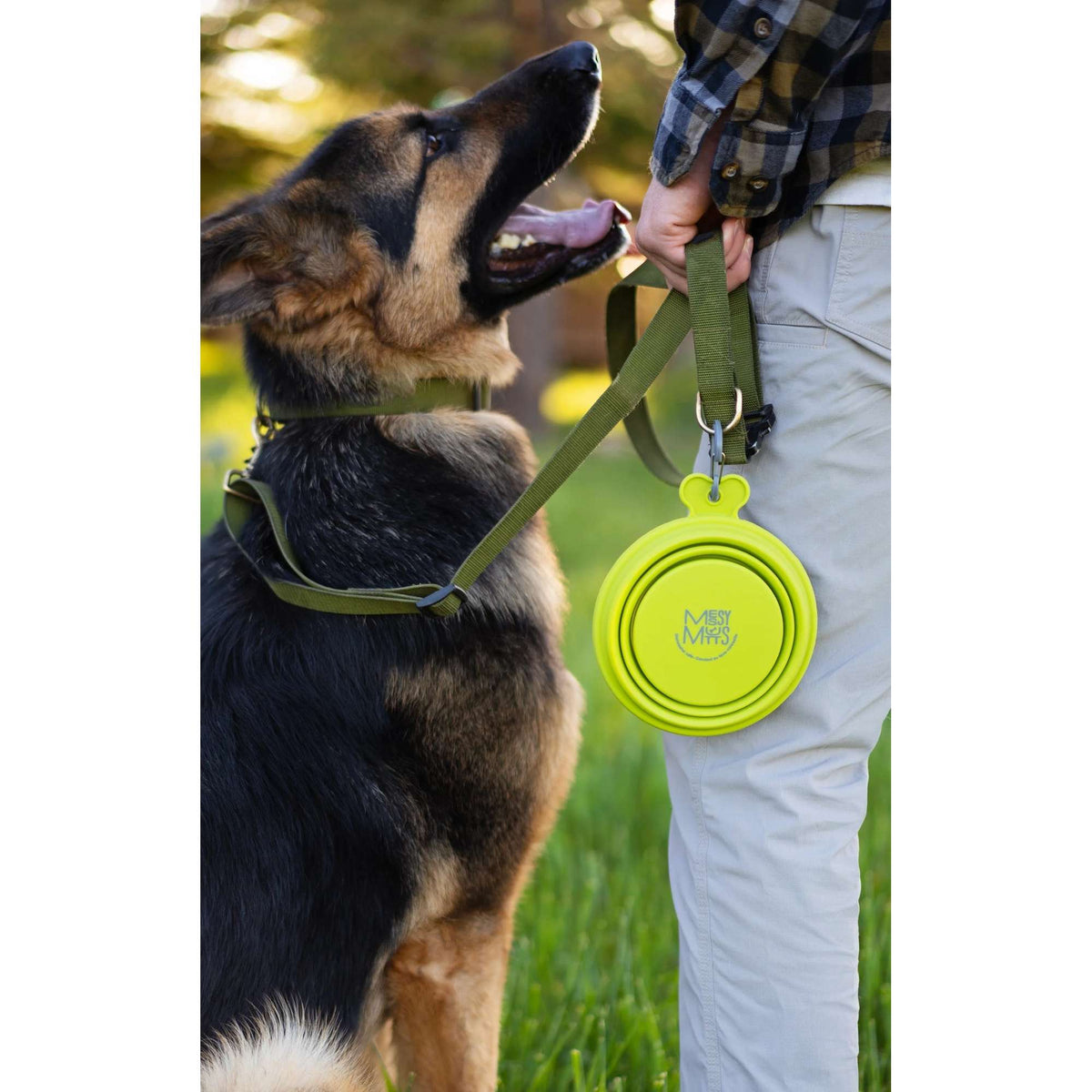 Messy Mutts Portable Collapsible Dog Bowl