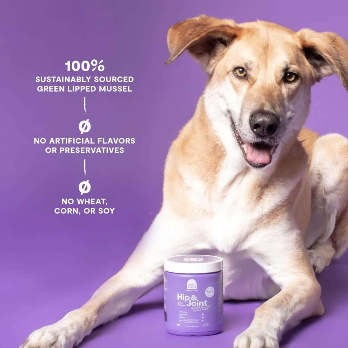 Open Farm Hip &amp; Joint Dog Supplement Chews