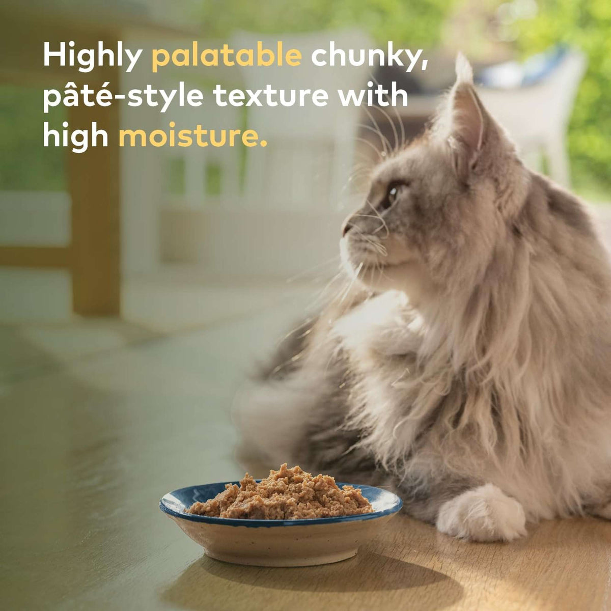 Ziwi Peak Mackerel Recipe Canned Cat Food