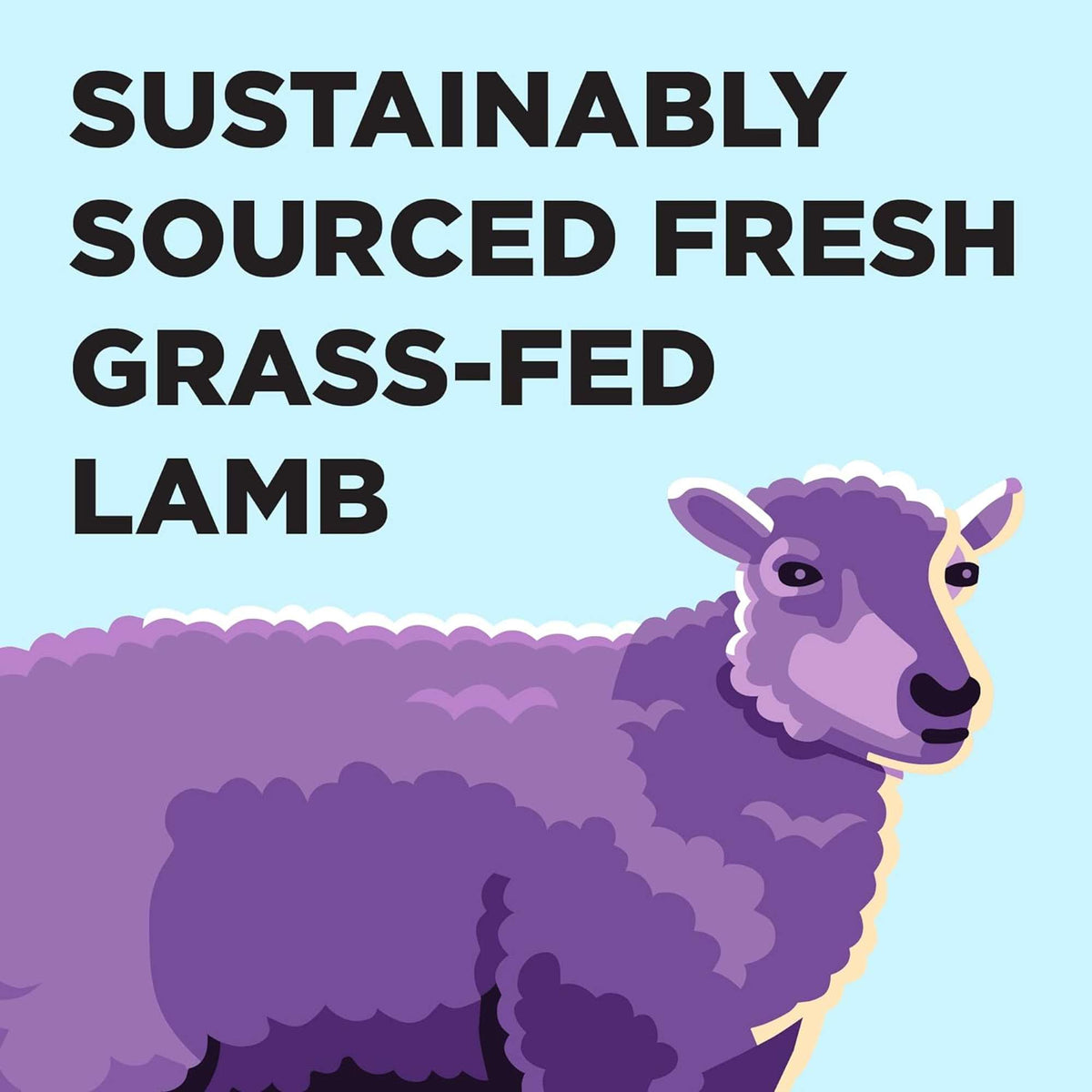 Bixbi Liberty Grain Free Lamb Canned Dog Food