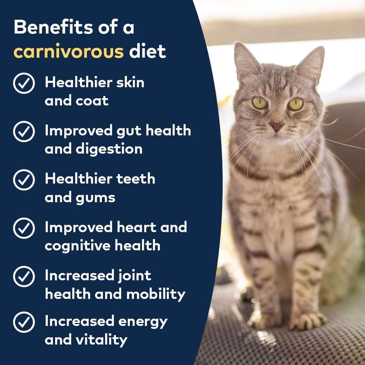 Ziwi Peak Lamb Recipe Canned Cat Food