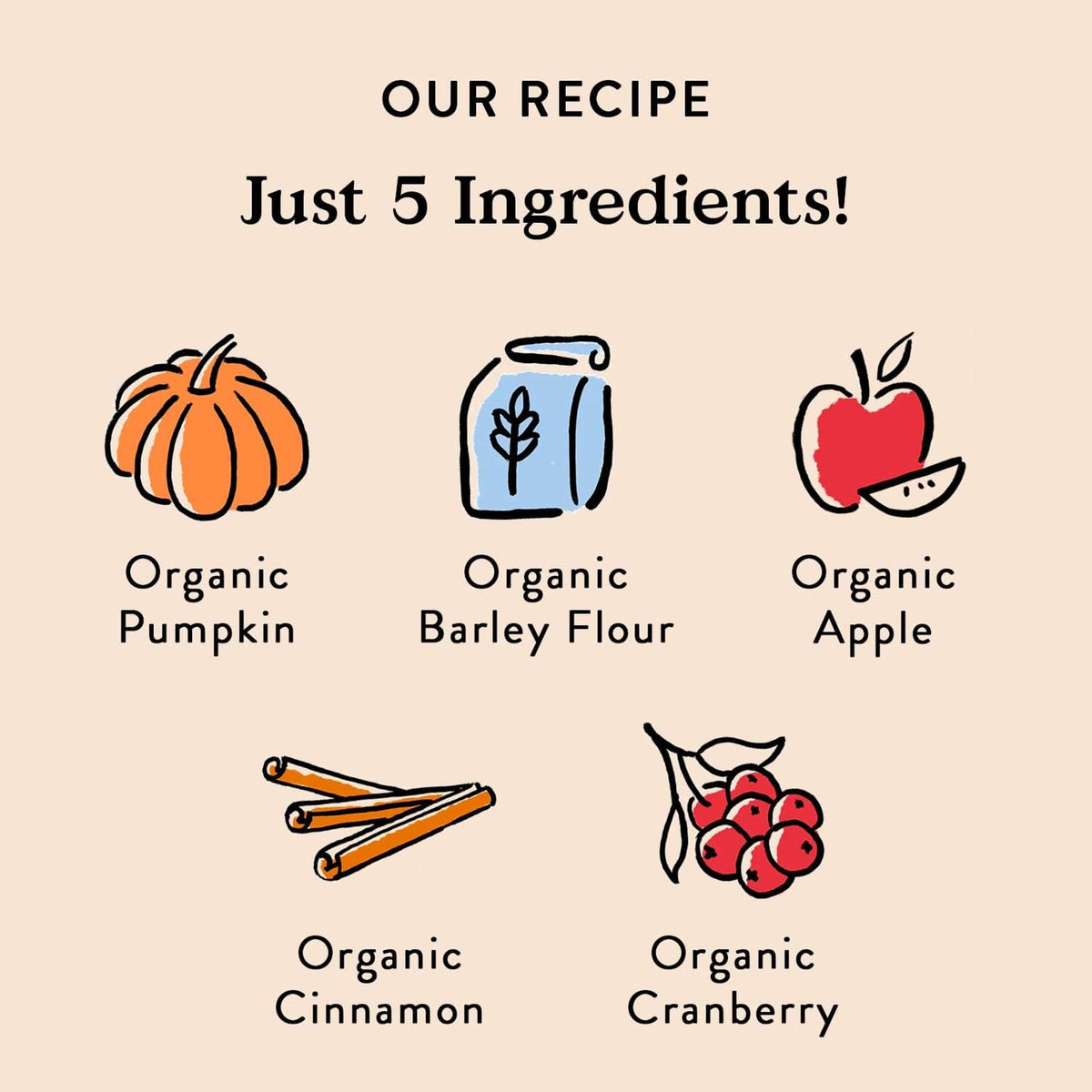 Bocce&#39;s Bakery Pumpk&#39;n Harvest Pumpkin Cranberry and Apple Crunchy Biscuits Dog Treats