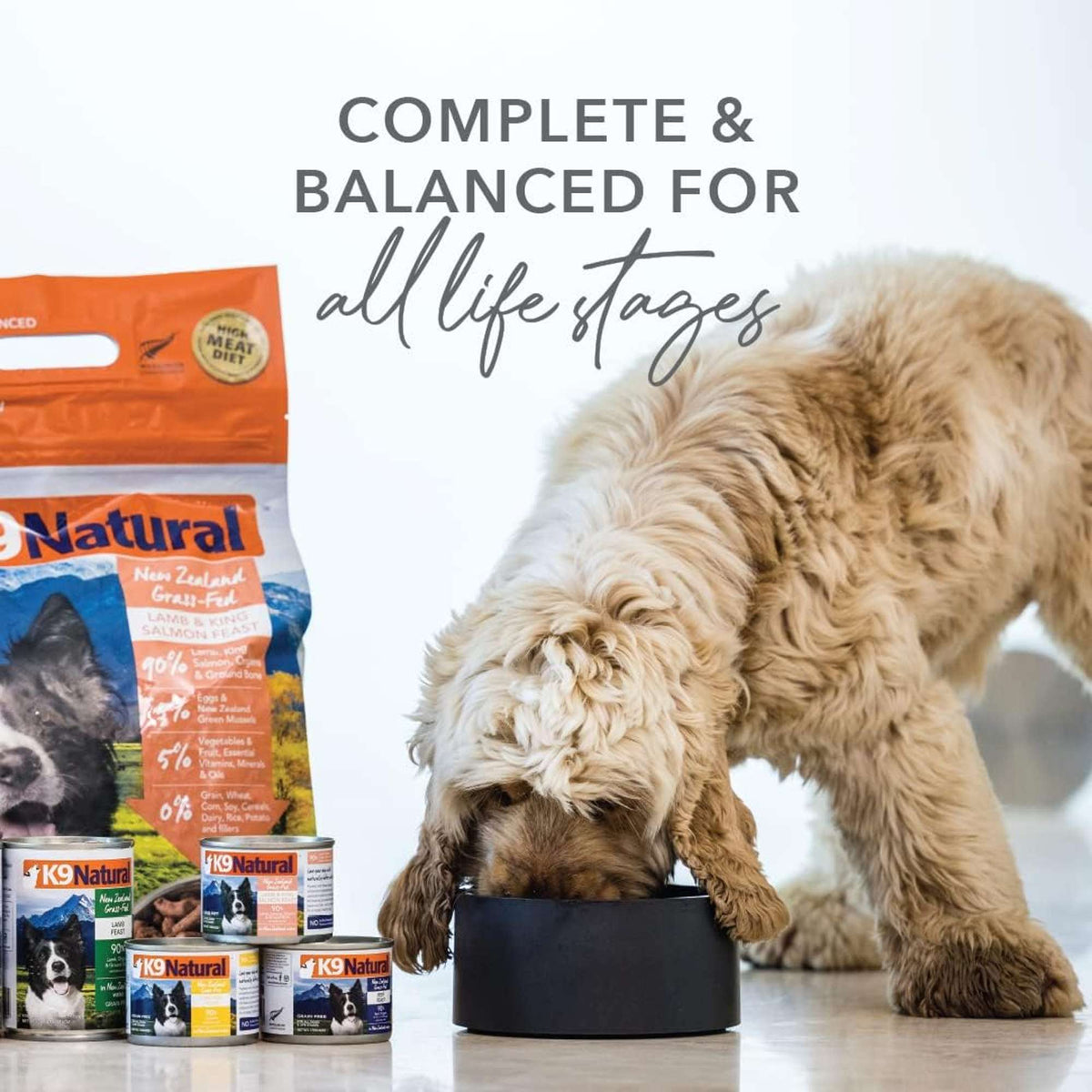 K9 Natural Grain Free Lamb &amp; King Salmon Feast Canned Dog Food