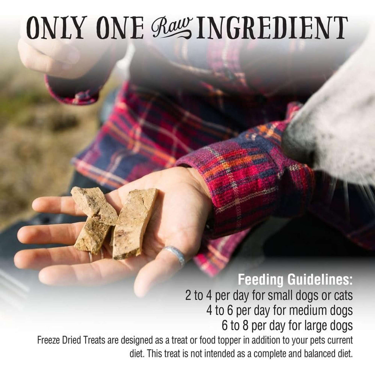 Northwest Naturals Raw Rewards Freeze-Dried Beef Hearts Dog &amp; Cat Treats