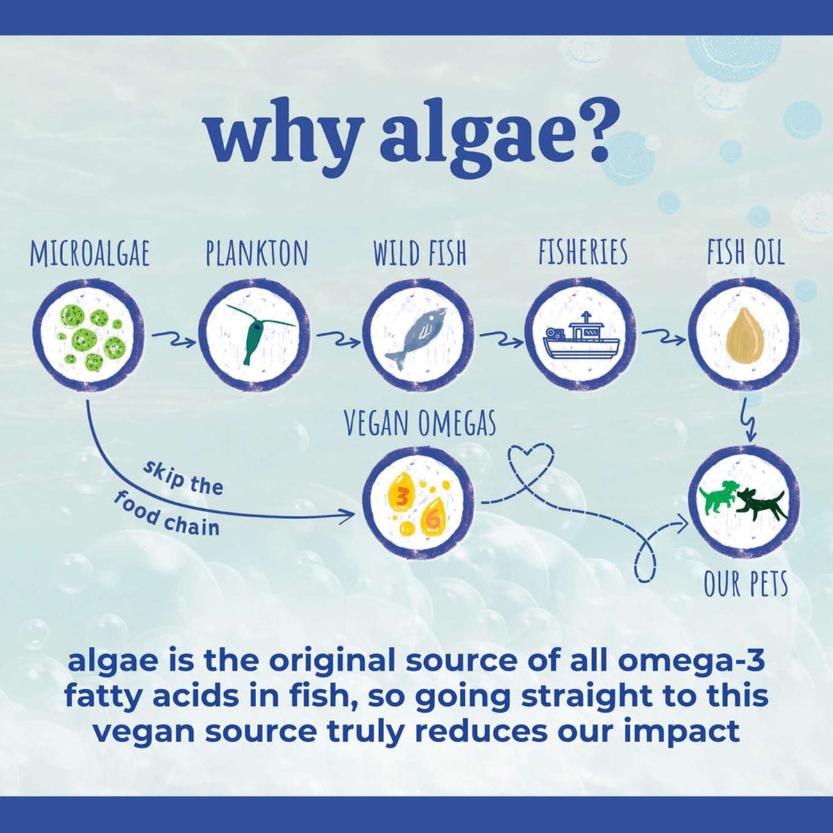 Austin &amp; Kat Blanca&#39;s Marine Algae Oil for Dogs &amp; Cats