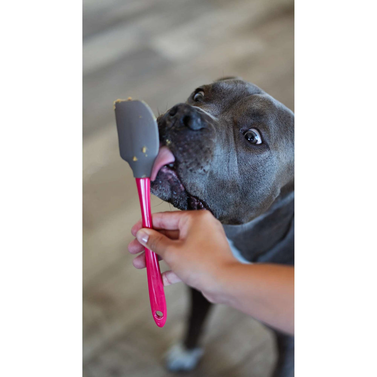 Messy Mutts Silicone Dog Licking Mat with Silicone Spatula