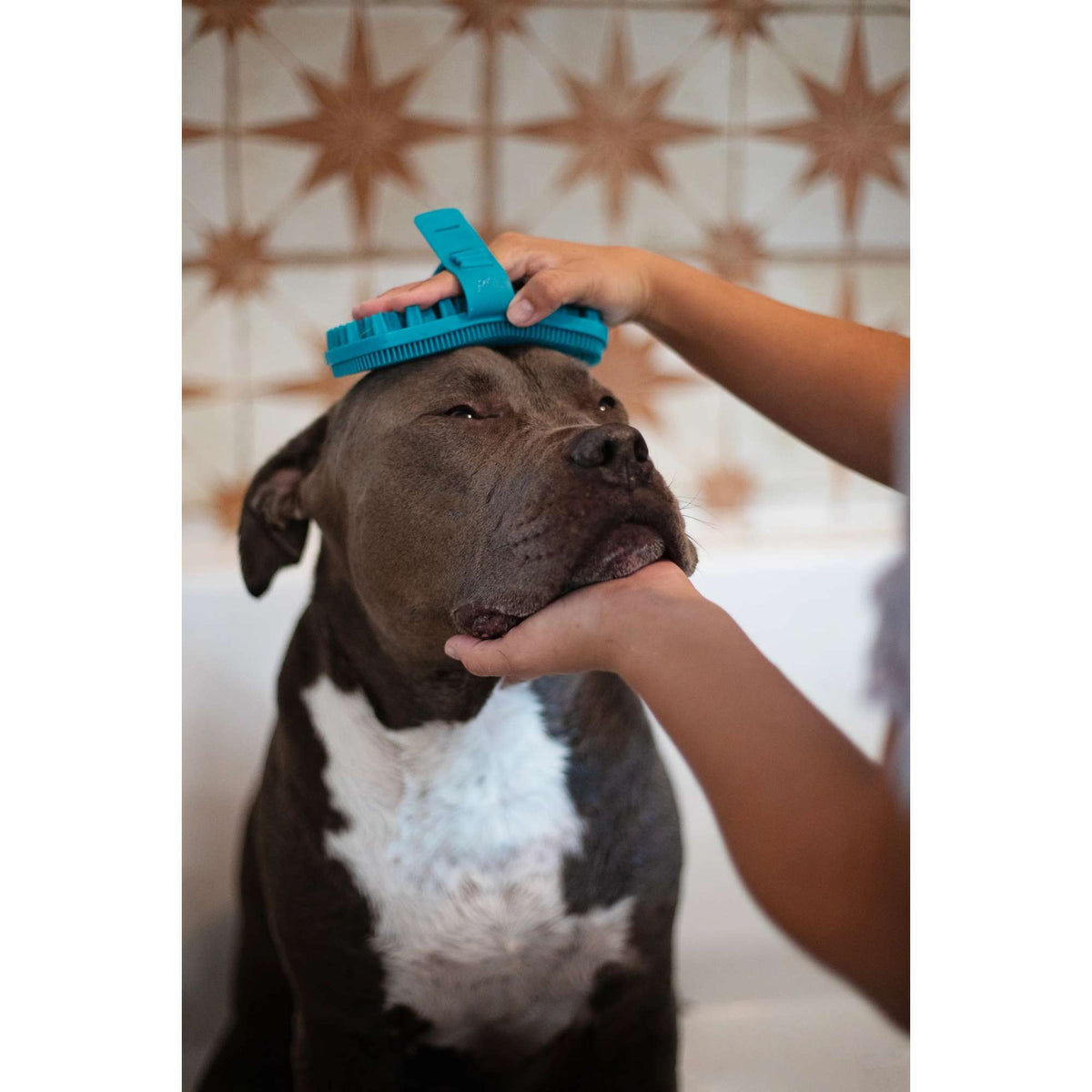 Messy Mutts Dual Sided Grooming Brush for Dogs