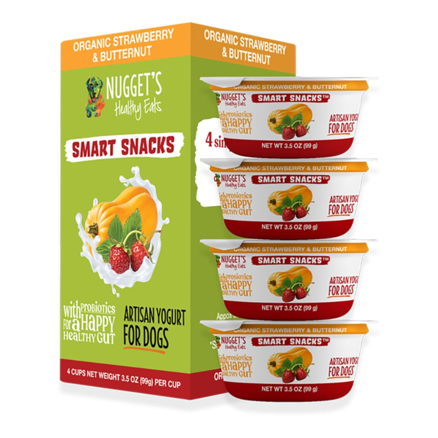 Nugget&#39;s Healthy Eats Smart Snacks Organic Strawberry &amp; Butternut Frozen Yogurt for Dogs